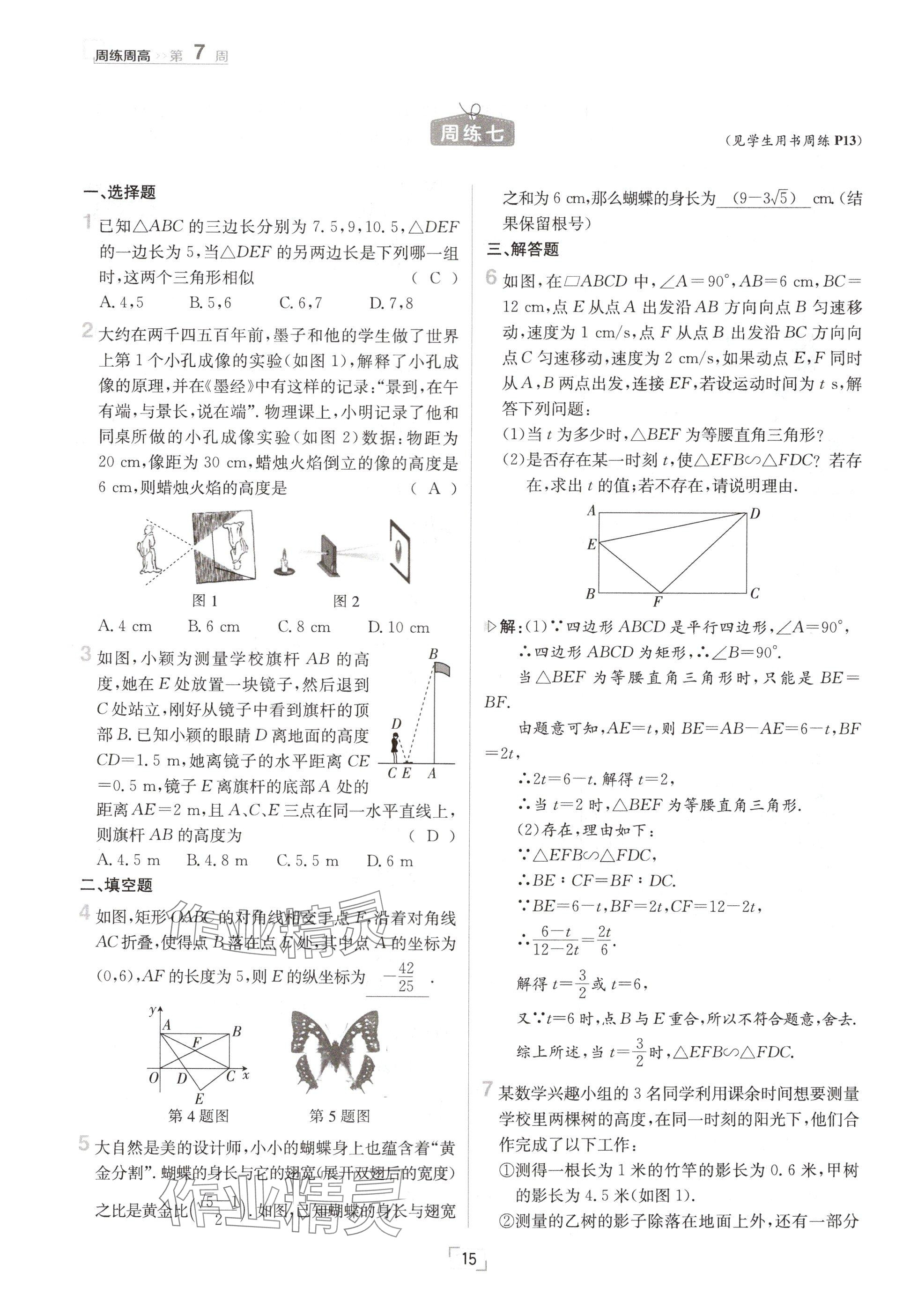 2024年日清周練九年級數(shù)學全一冊北師大版 參考答案第15頁