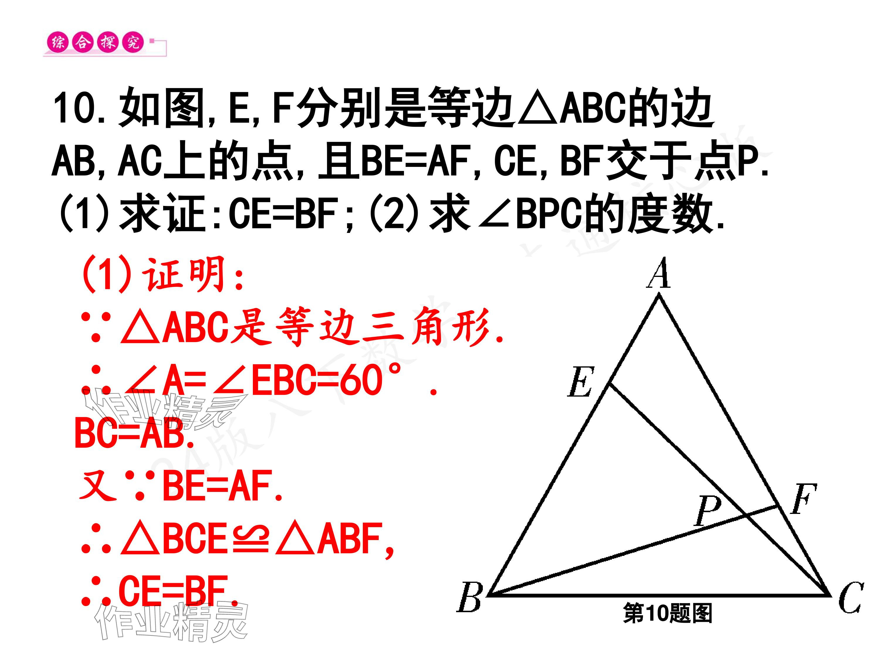 2024年一本通武漢出版社八年級(jí)數(shù)學(xué)下冊(cè)北師大版核心板 參考答案第13頁(yè)