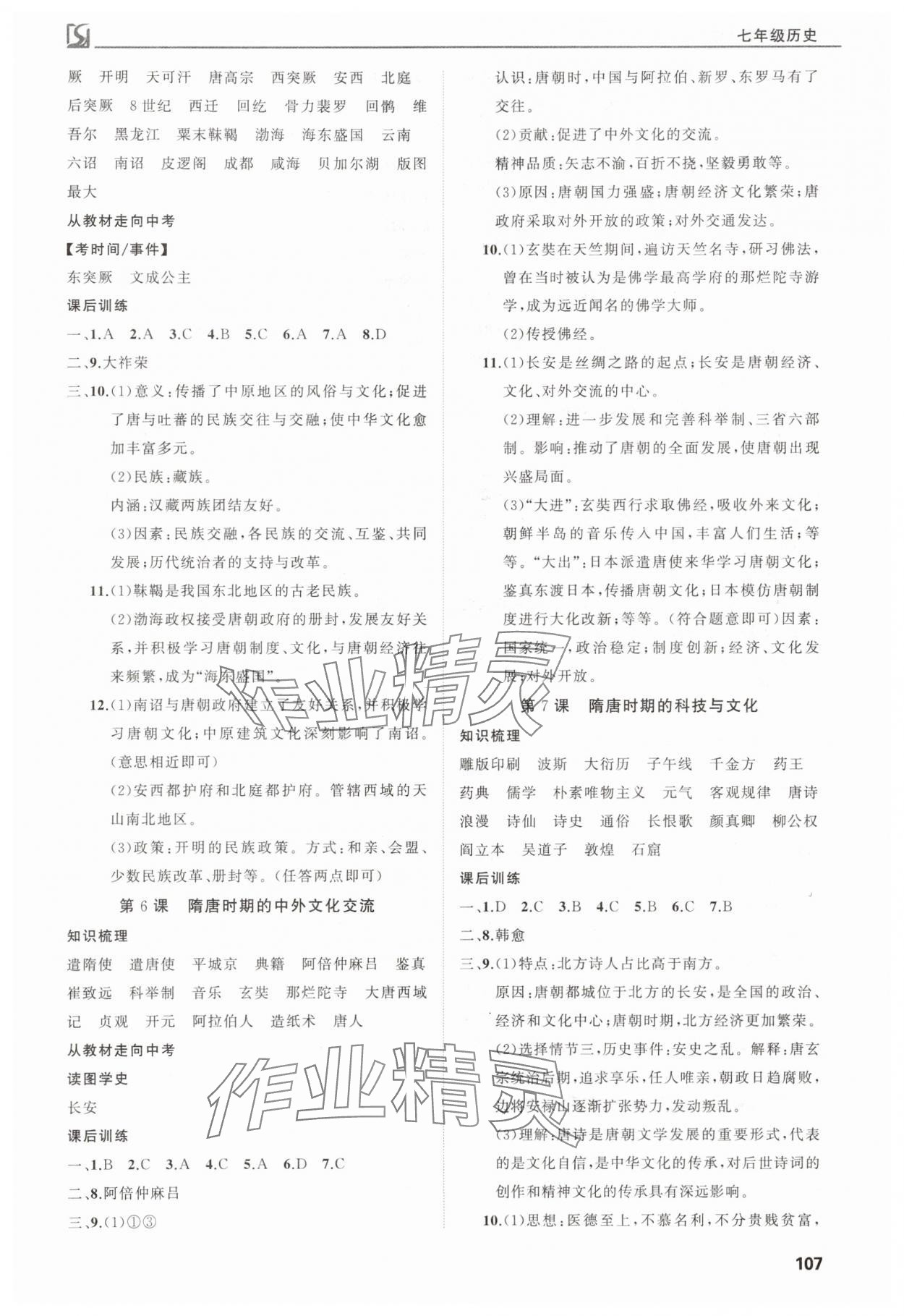 2025年高效通教材精析精練七年級歷史下冊人教版 第3頁