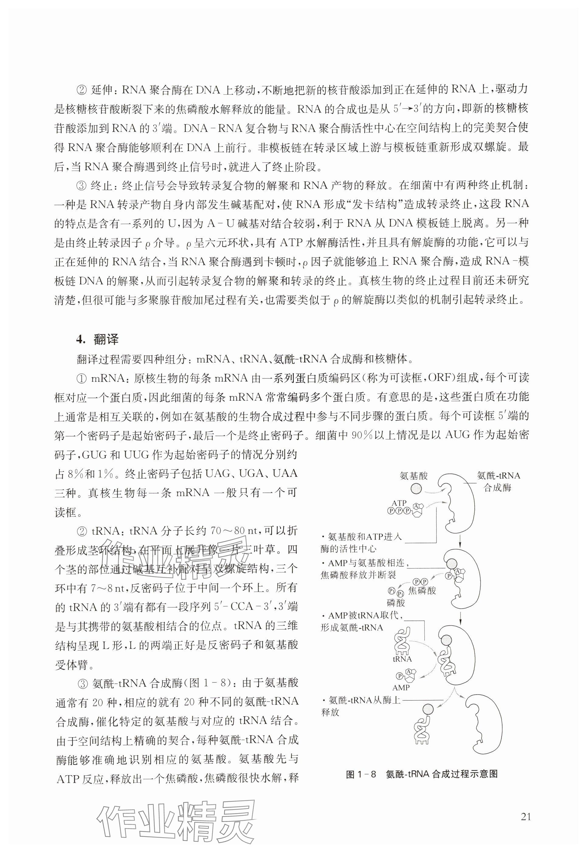 2024年教材課本高中生物必修2滬教版 參考答案第21頁(yè)