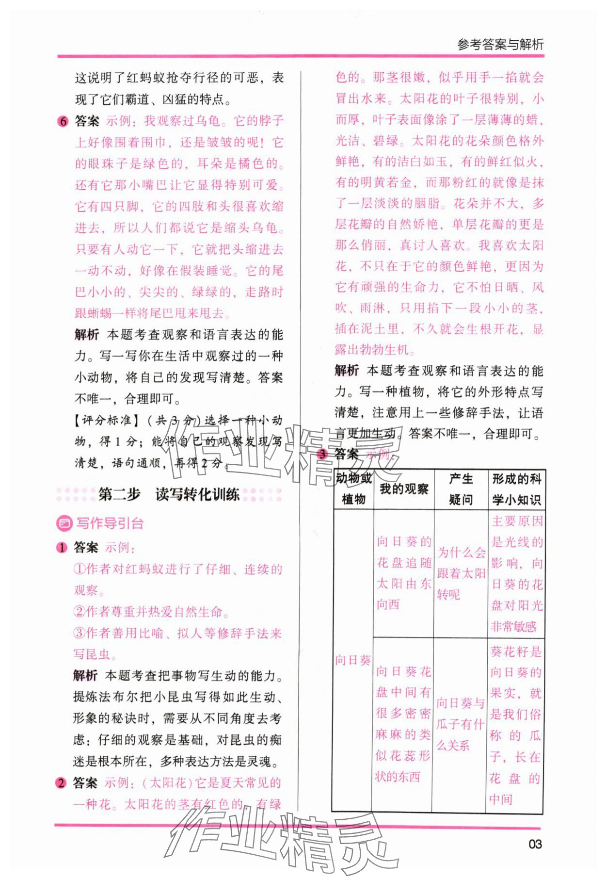 2024年木頭馬暑假讀寫輔導3升4語文&nbsp;參考答案第3頁
