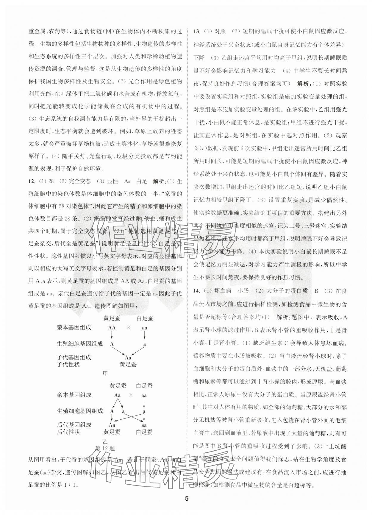 2025年拔尖中考沖刺卷生物徐州專(zhuān)版&nbsp;第5頁(yè)