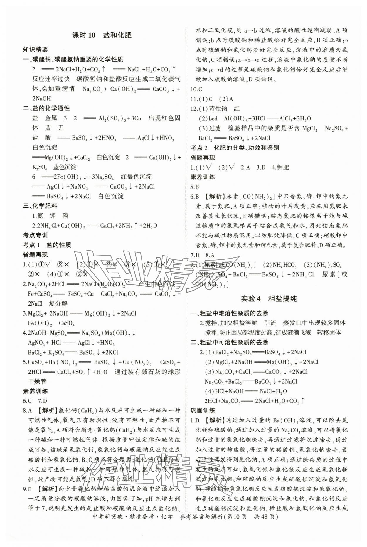 2024年中考新突破精準(zhǔn)備考化學(xué)廣東專版 第10頁