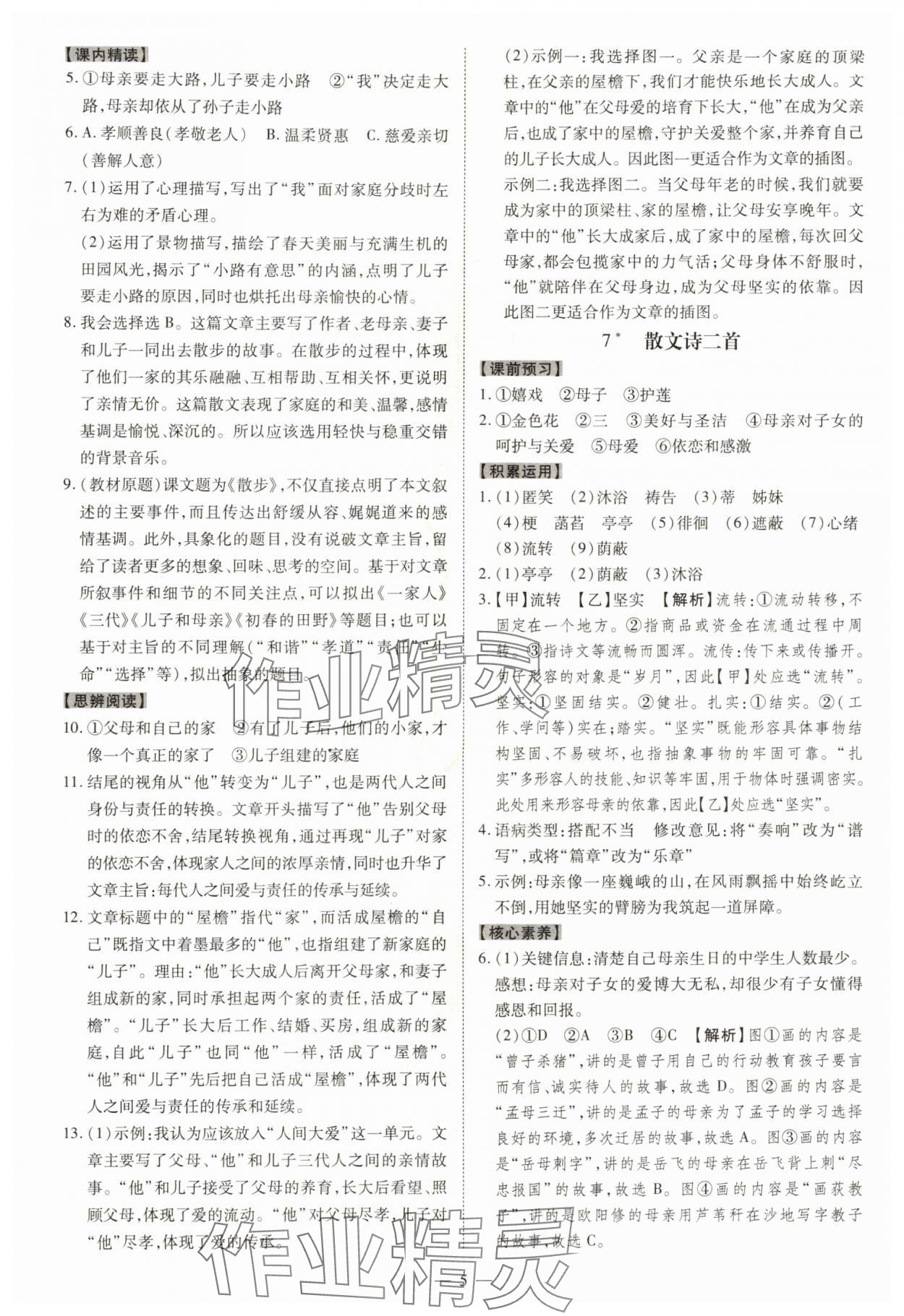 2025年同步冲刺七年级语文上册人教版&nbsp;参考答案第5页