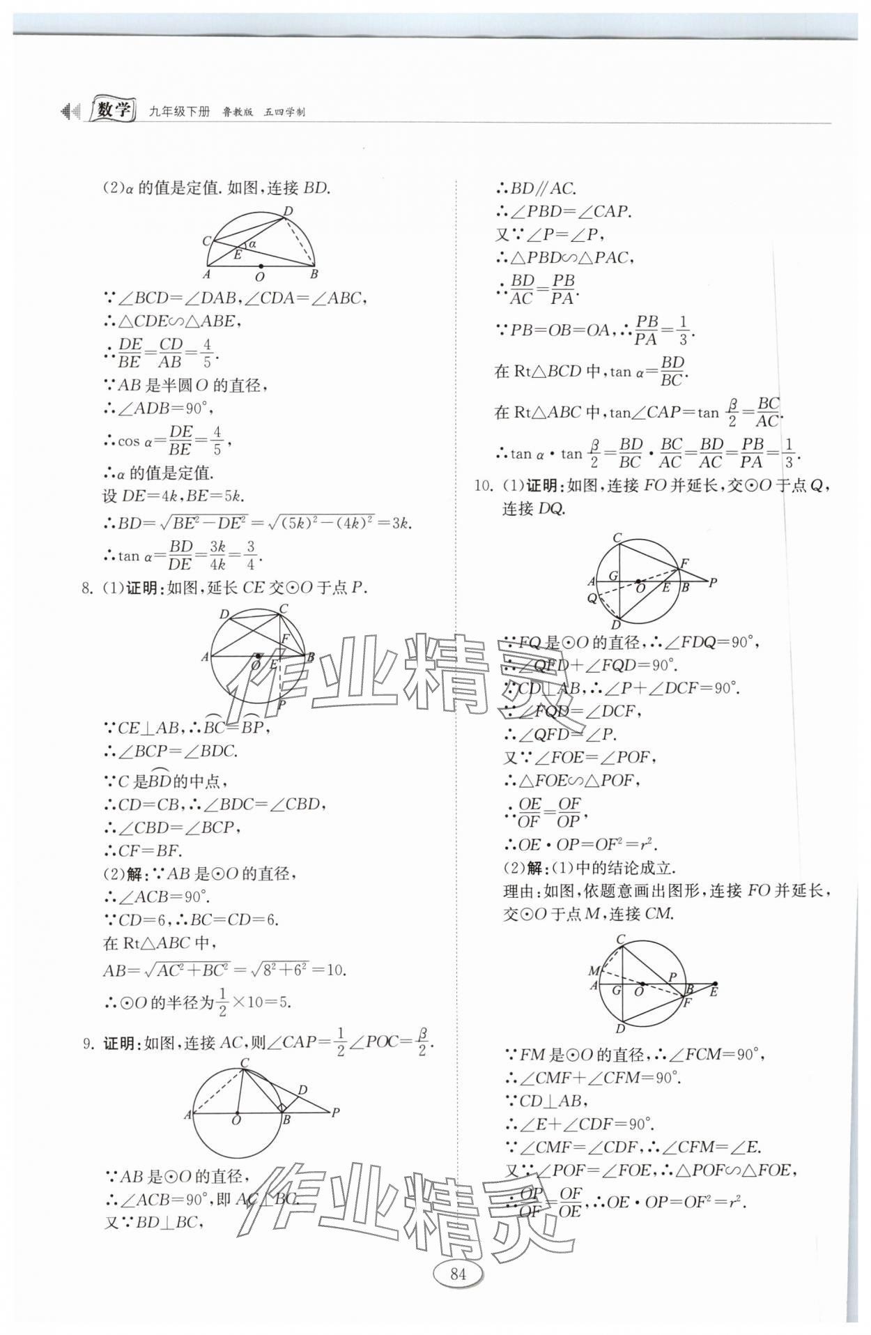 2024年初中同步練習(xí)冊九年級(jí)數(shù)學(xué)下冊魯教版54制山東科學(xué)技術(shù)出版社 第6頁