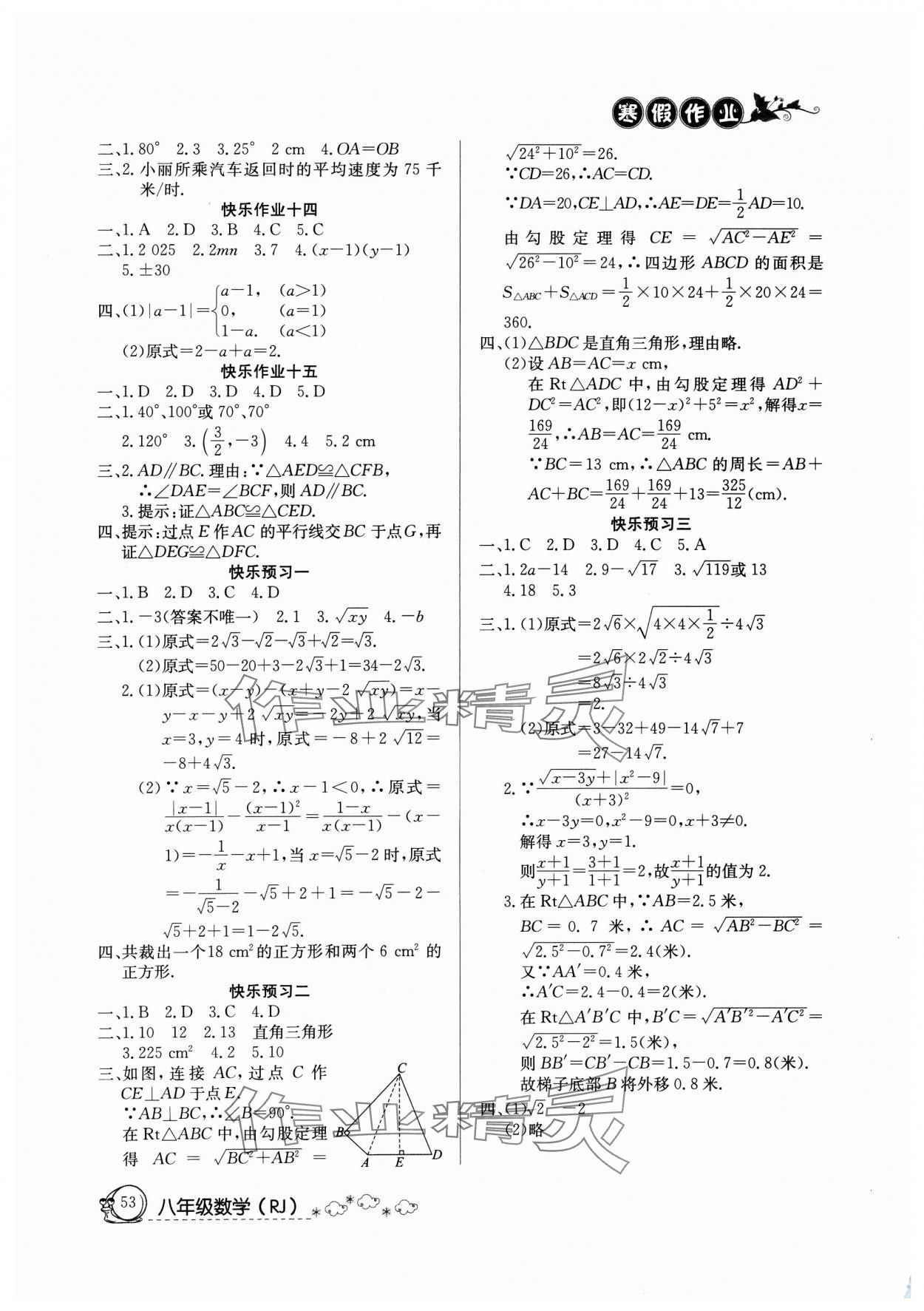 2025年快乐假期寒假作业延边教育出版社八年级数学人教版 第2页