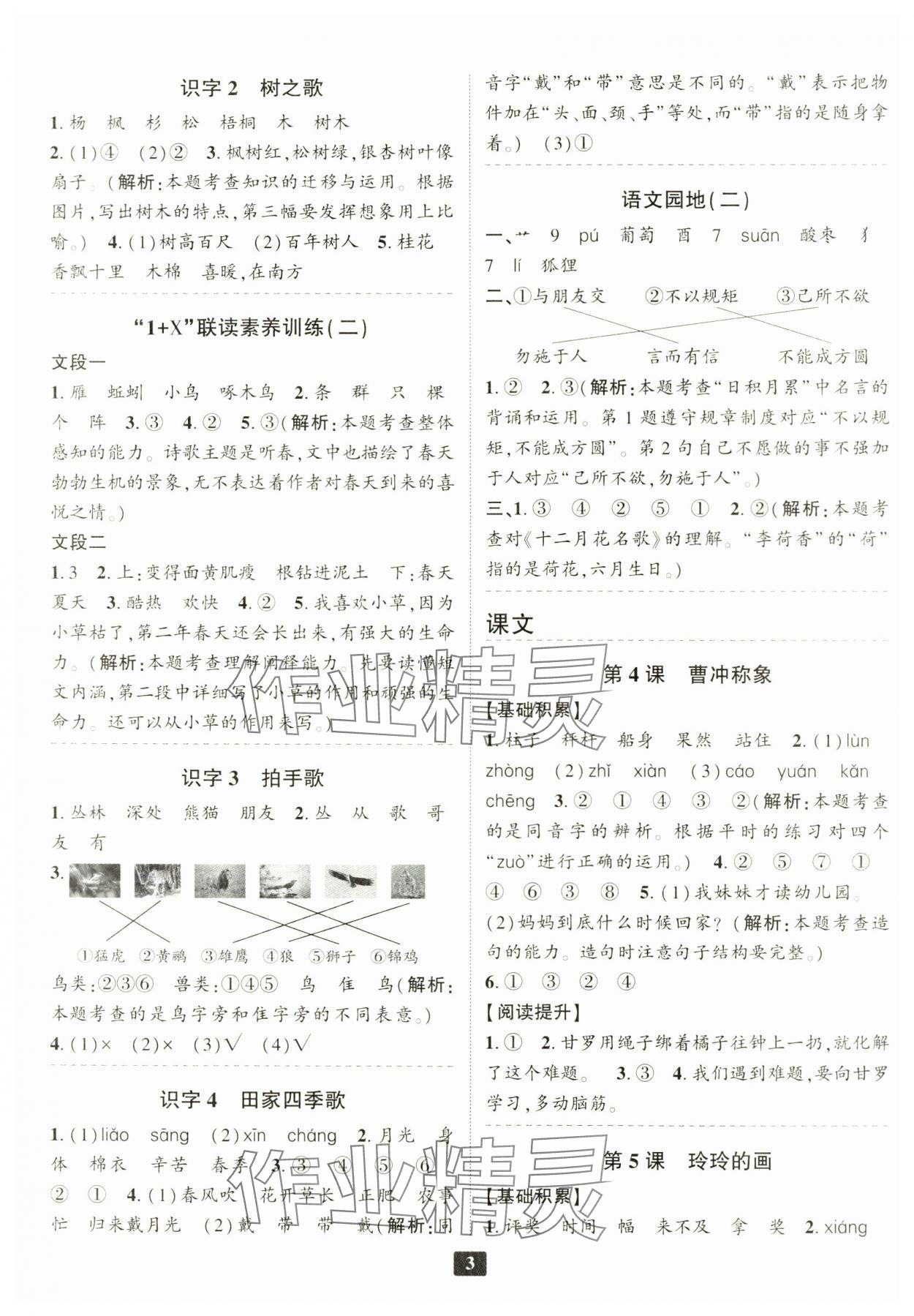 2024年勵(lì)耘書業(yè)勵(lì)耘新同步二年級語文上冊人教版 第3頁