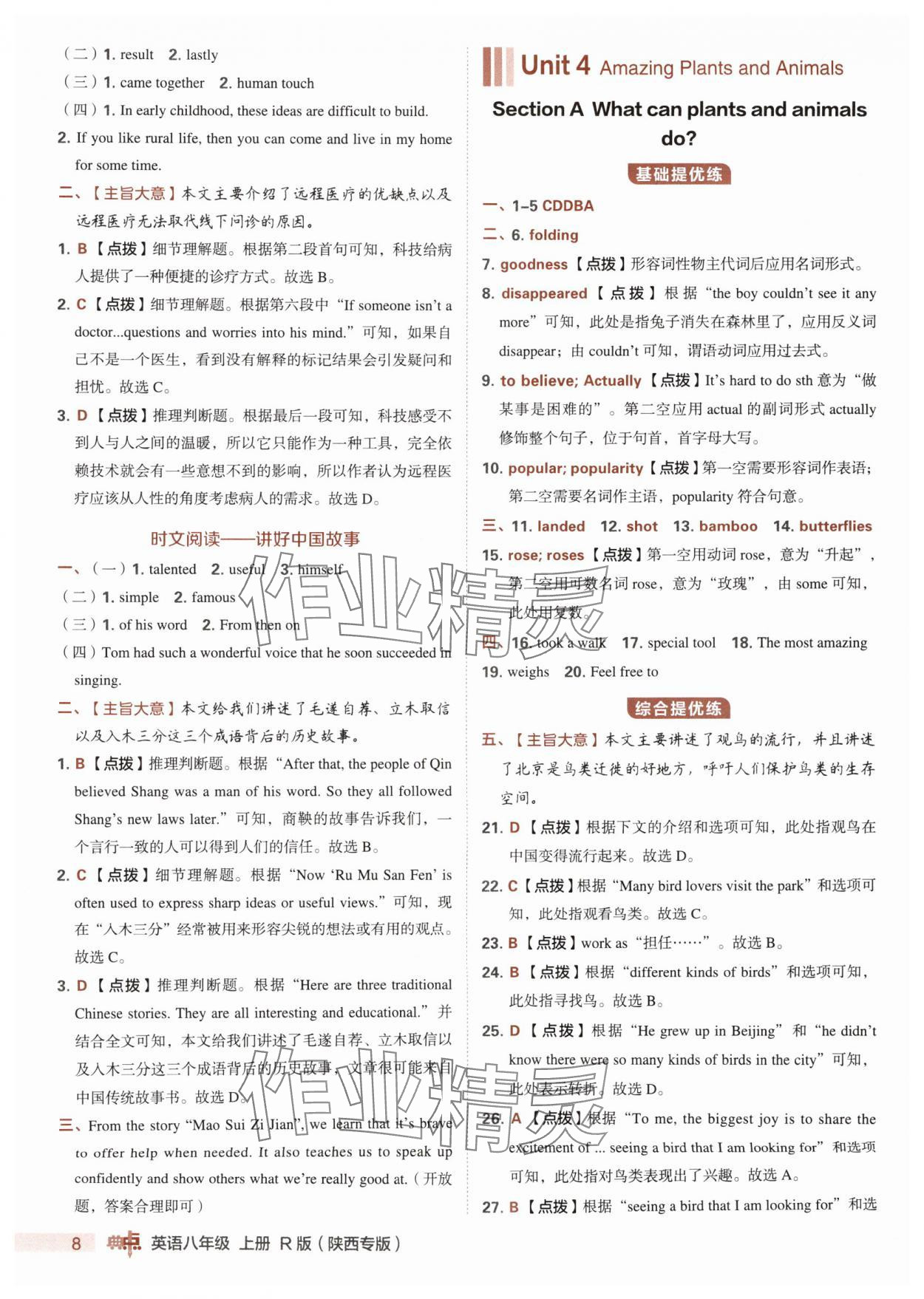 2025年综合应用创新题典中点八年级英语上册人教版陕西专版 第8页