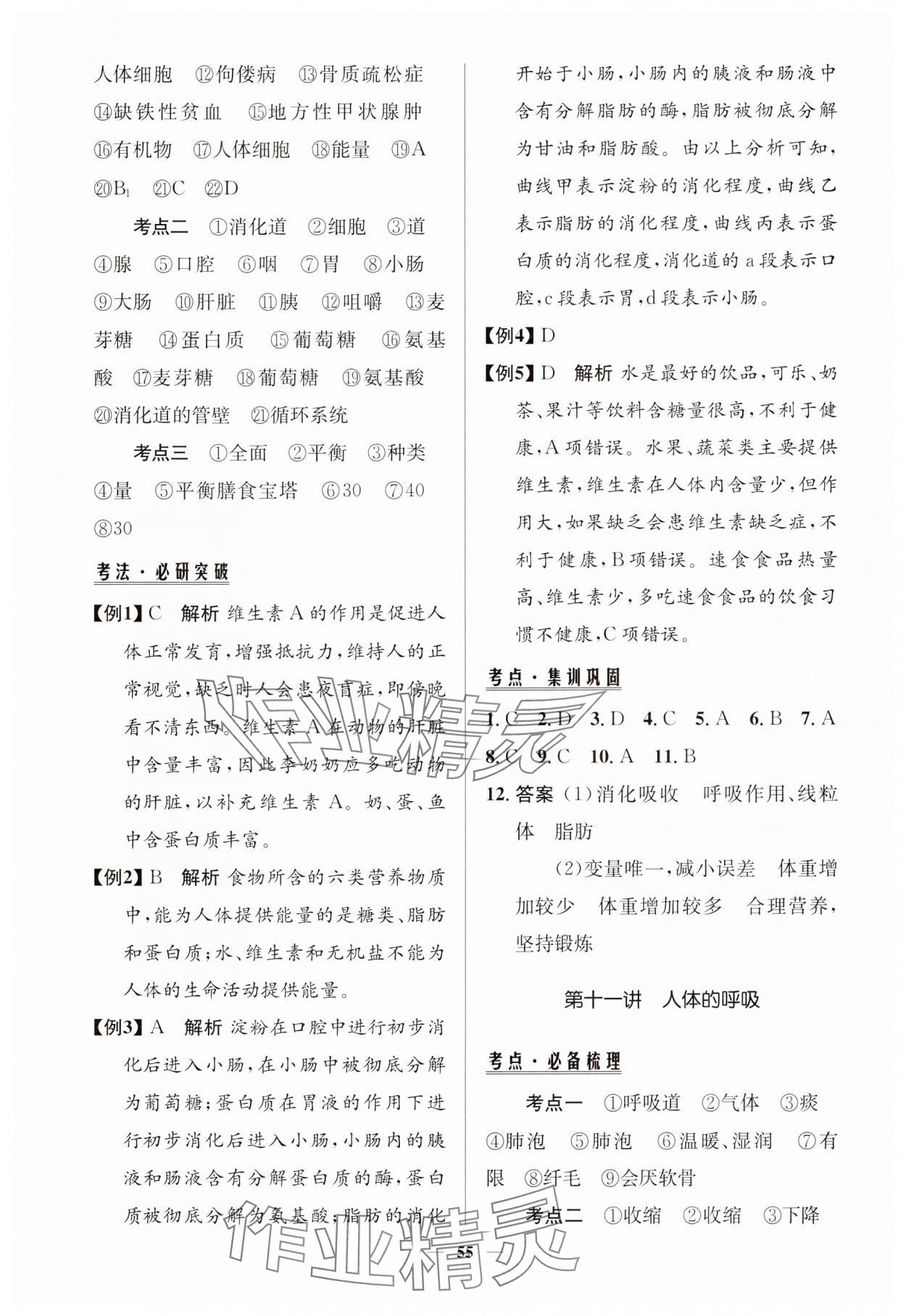 2025年初中總復(fù)習(xí)手冊知識(shí)出版社生物魯科版&nbsp;第9頁