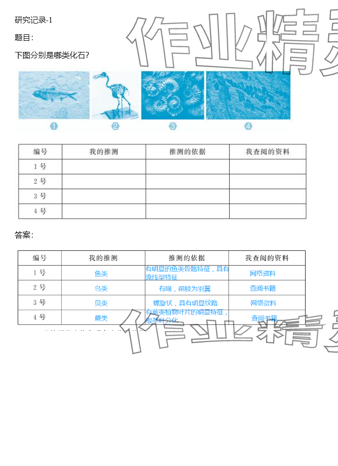 2024年同步實(shí)踐評價(jià)課程基礎(chǔ)訓(xùn)練六年級科學(xué)下冊湘科版 參考答案第46頁