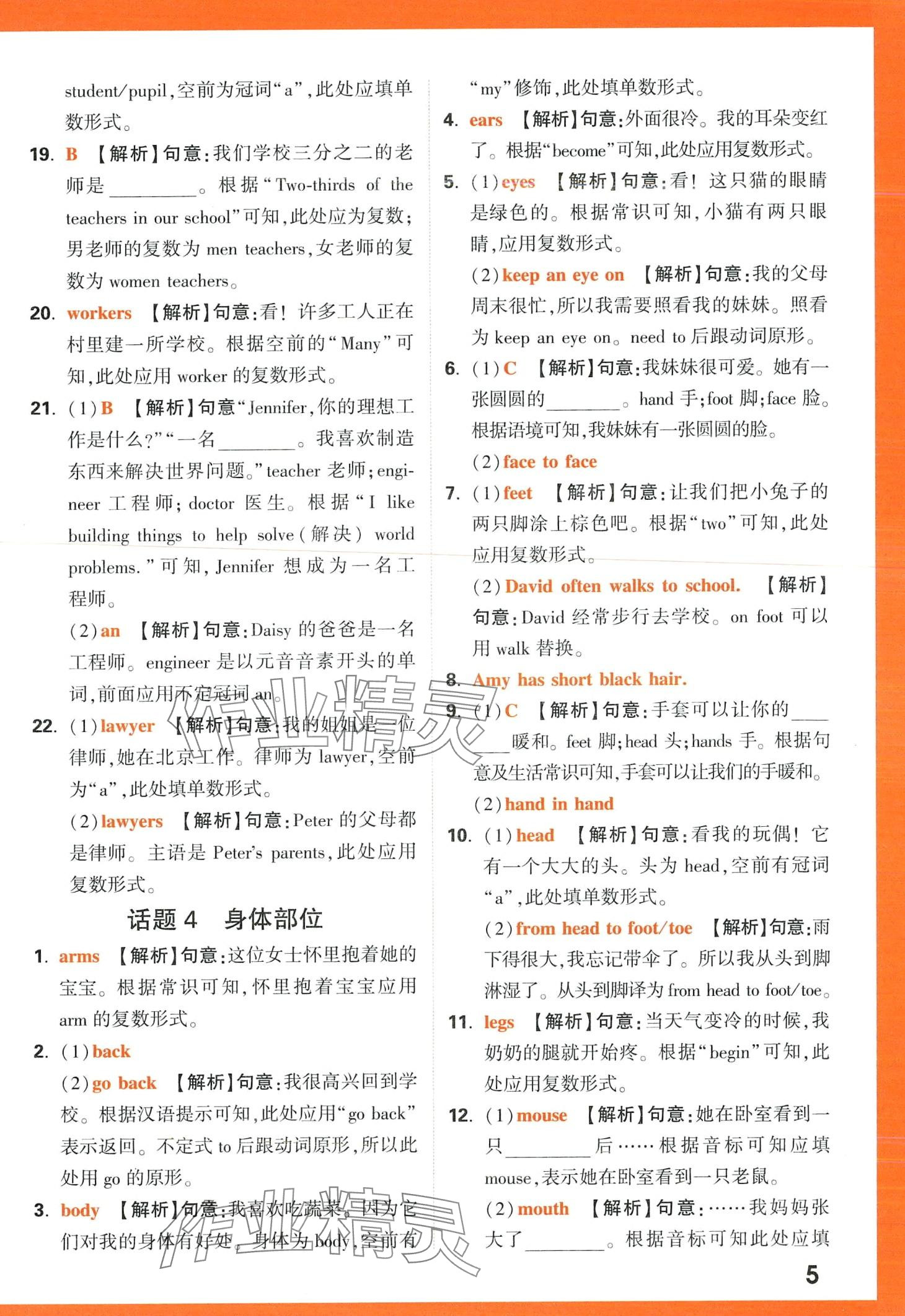 2024年小白鷗英語詞匯小學(xué) 第5頁