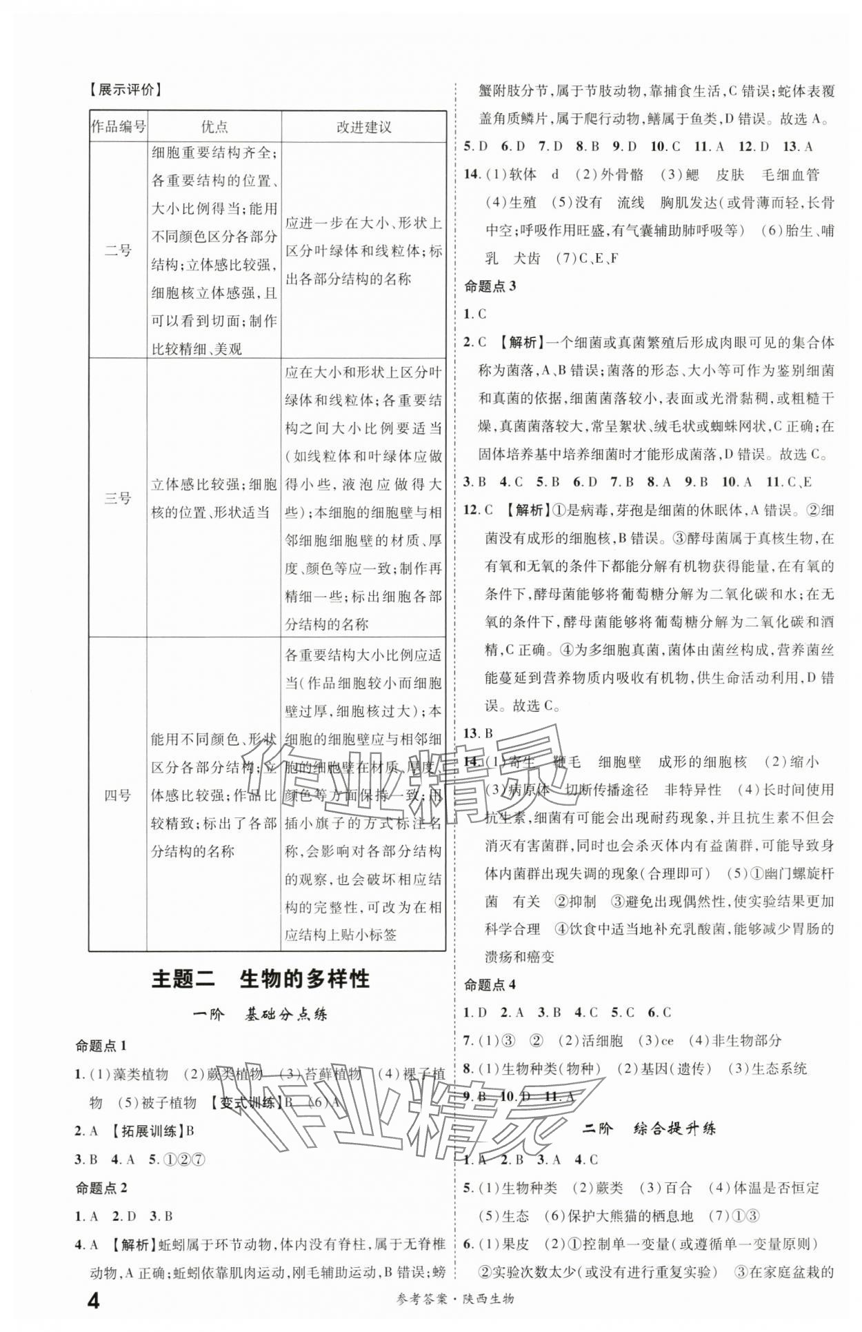 2024年一戰(zhàn)成名考前新方案生物陜西專版 參考答案第3頁