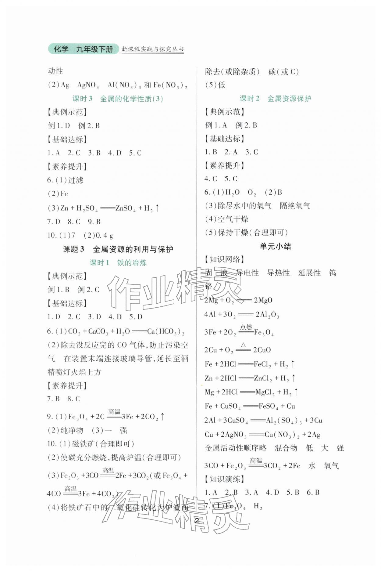2026年新课程实践与探究丛书九年级化学下册人教版&nbsp;第2页