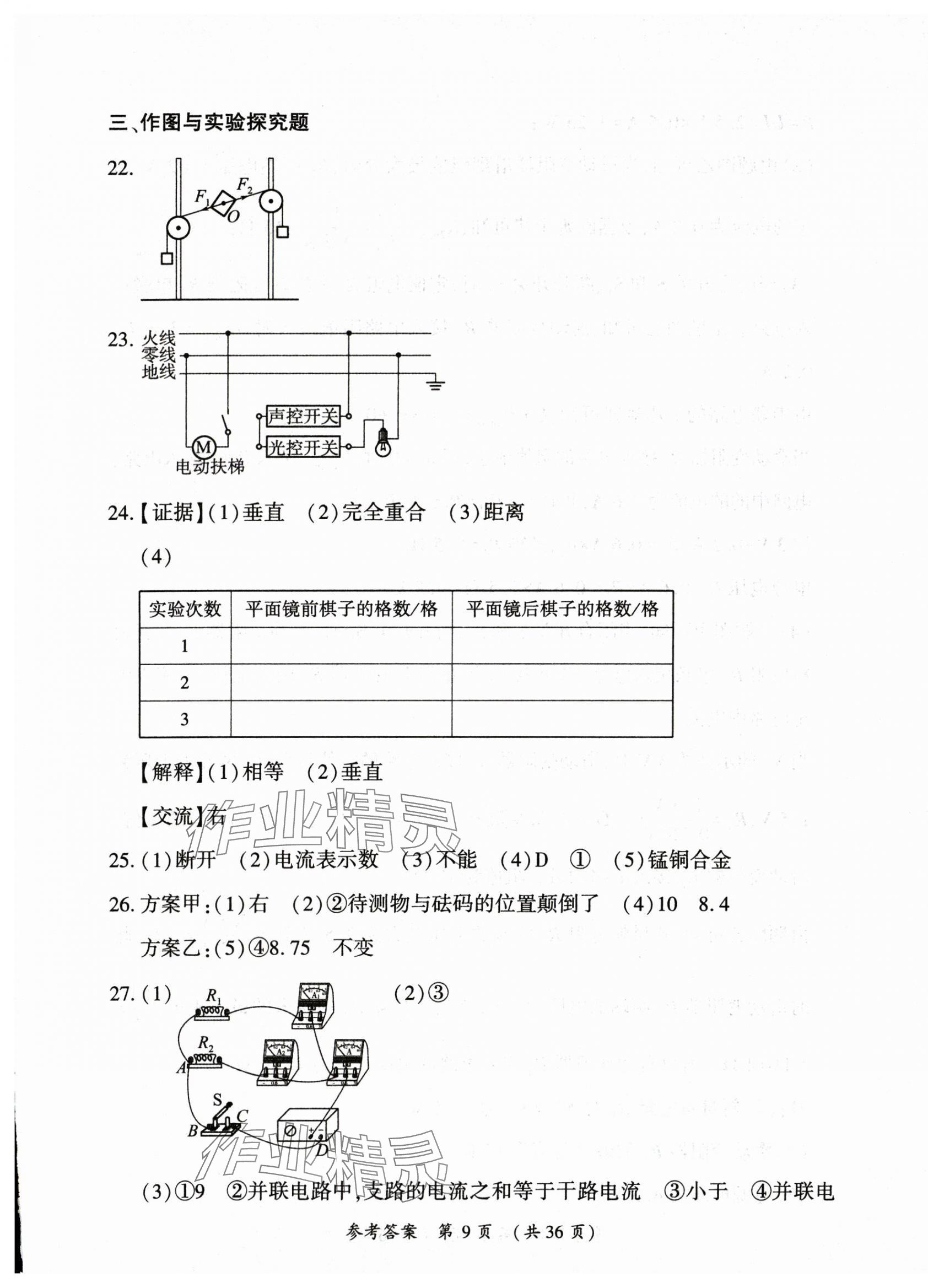 2025年創(chuàng)新與探究中考總復(fù)習(xí)物理 第9頁