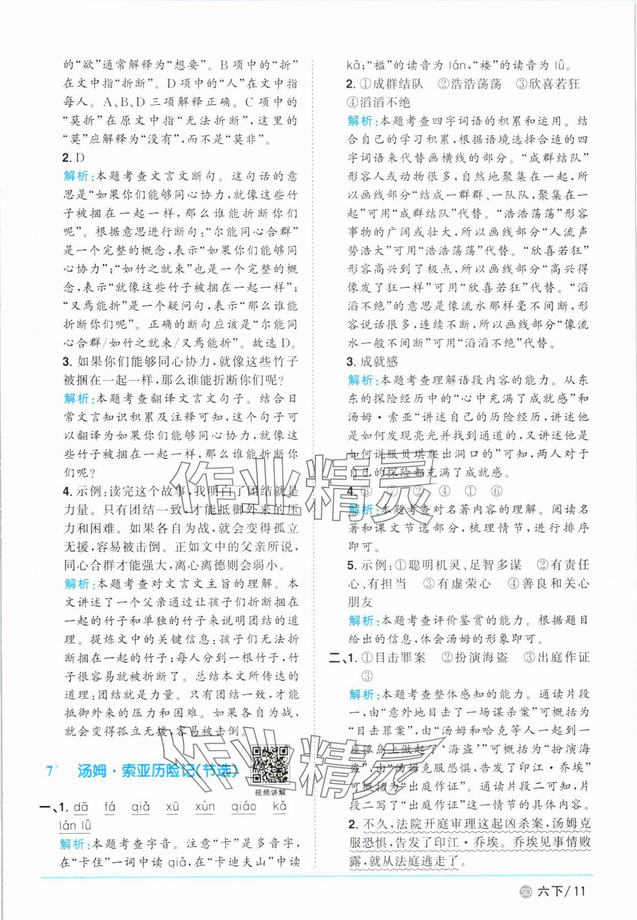 2025年阳光同学课时优化作业六年级语文下册人教版菏泽专版 参考答案第11页