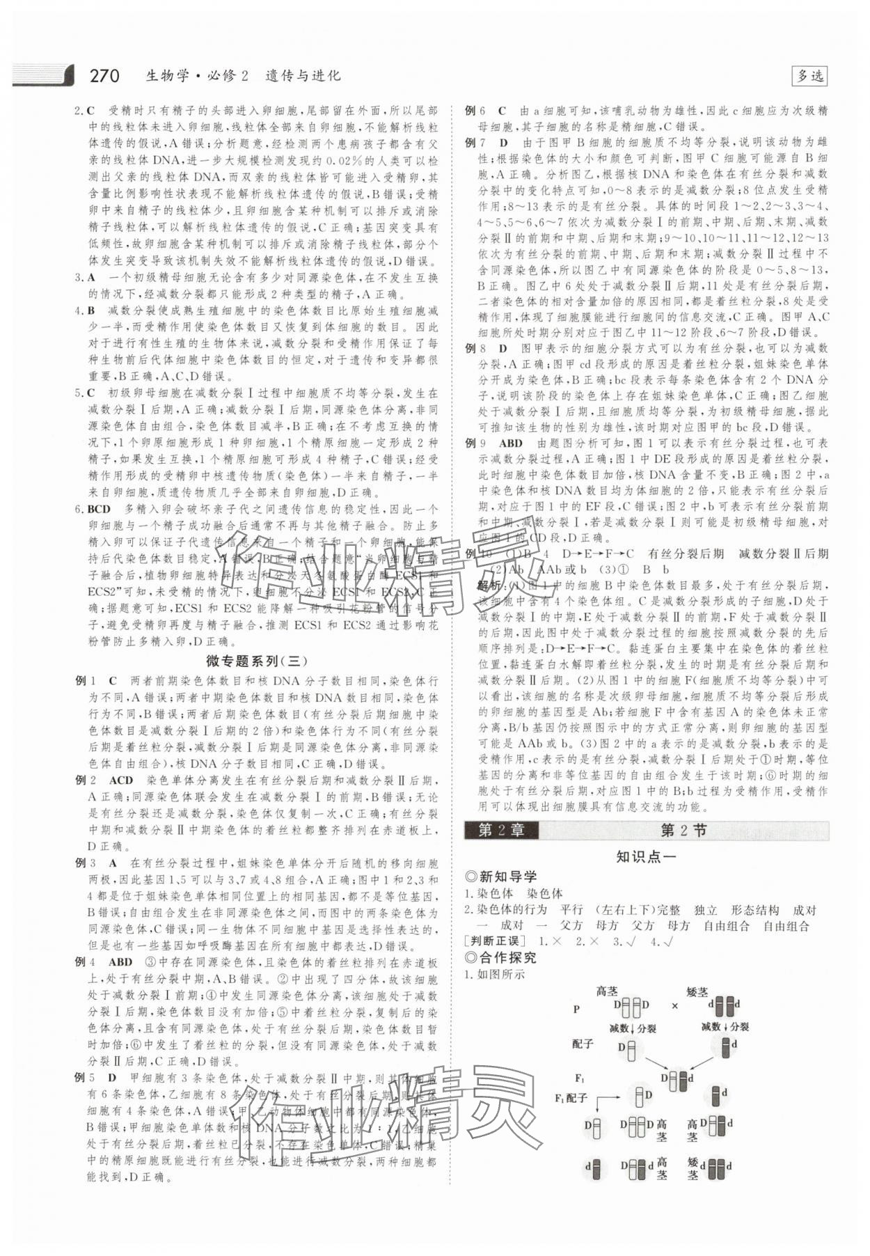 2025年金版新學案高中生物必修2人教版 參考答案第9頁