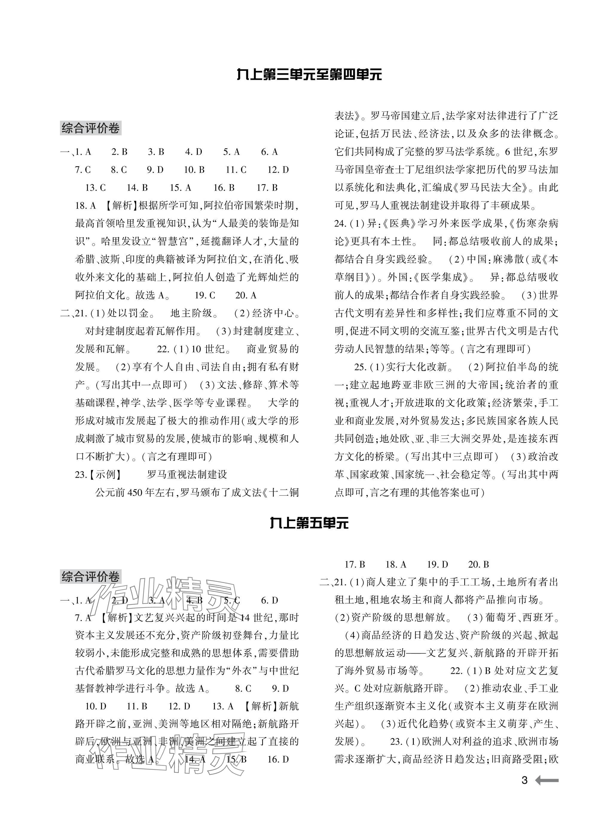 2025年节节高大象出版社九年级历史全一册人教版 参考答案第3页