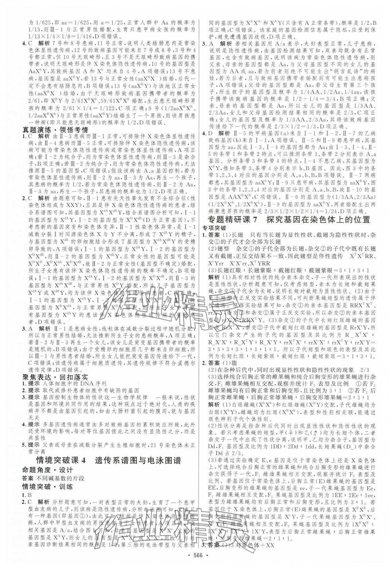 2025年高考總復(fù)習(xí)優(yōu)化設(shè)計(jì)高中生物人教版 第24頁(yè)