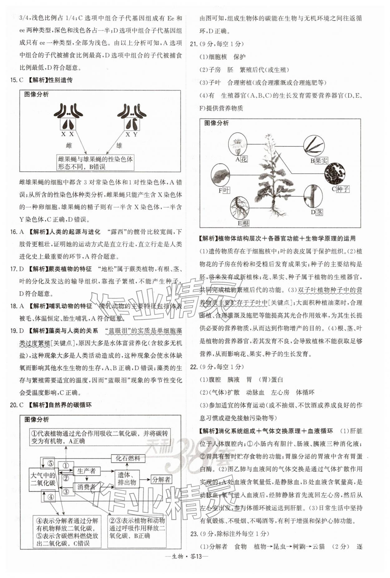 2026年天利38套新课标全国中考试题精选生物 第13页