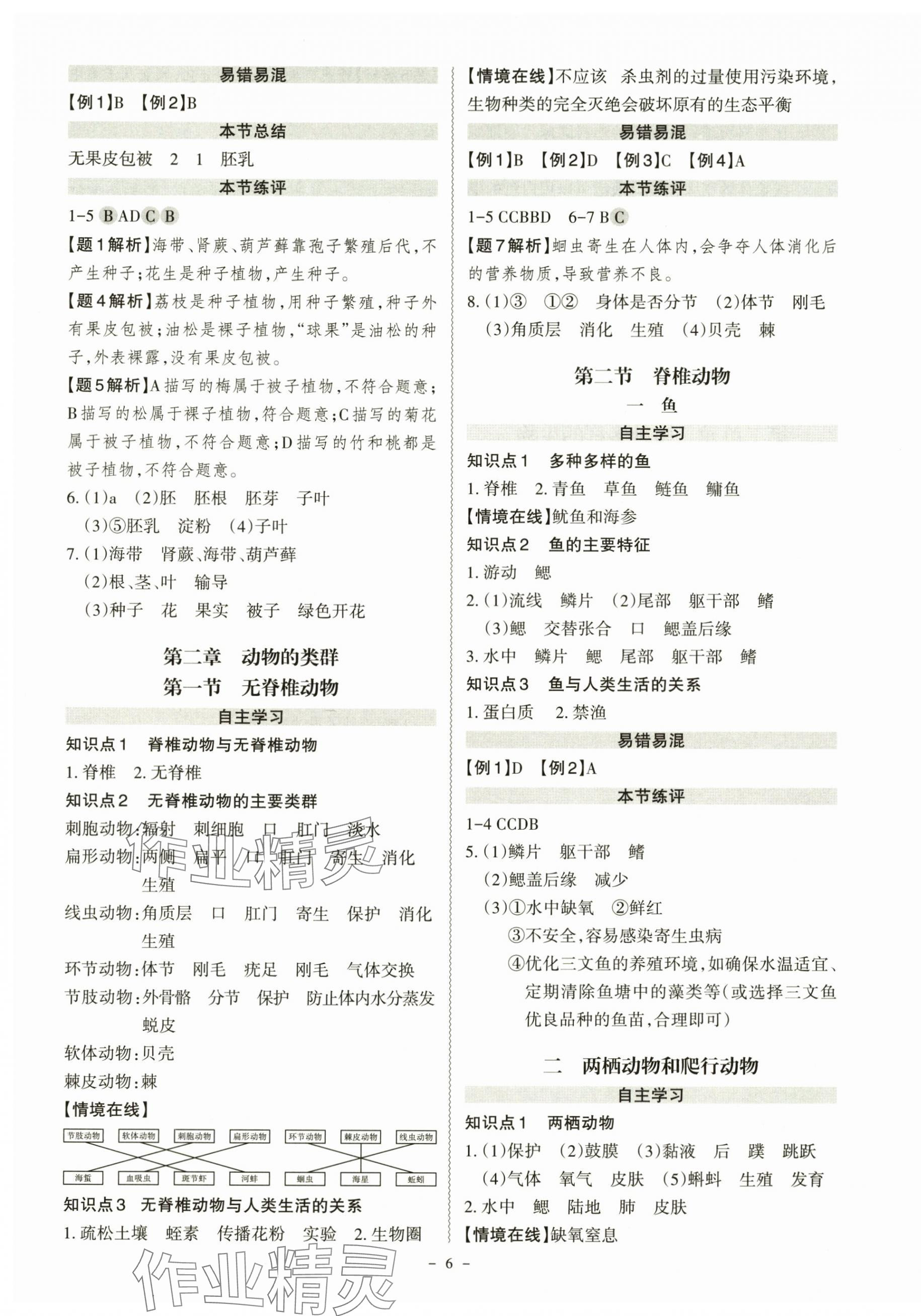 2025年同步冲刺七年级生物上册人教版&nbsp;第6页