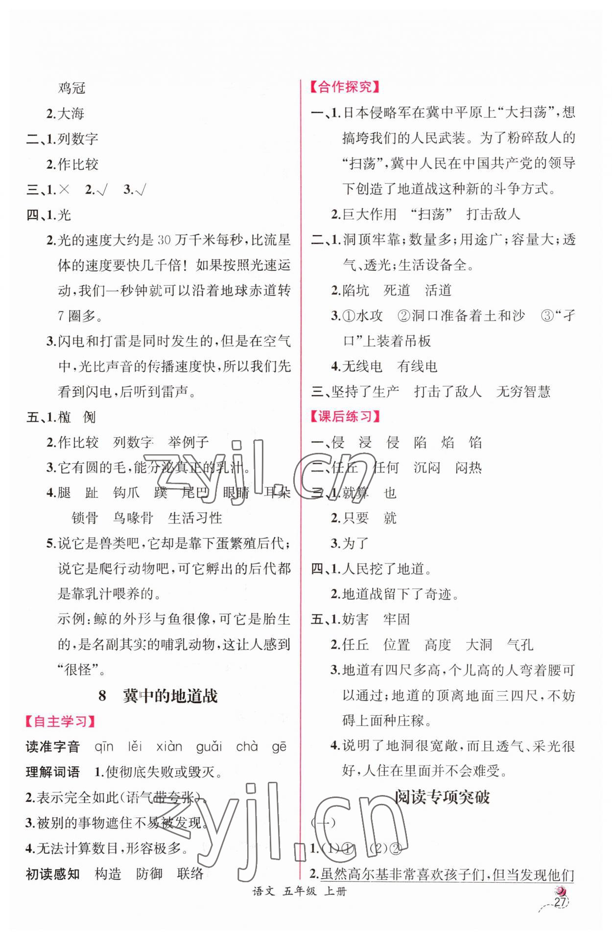 2023年同步導(dǎo)學(xué)案課時(shí)練五年級(jí)語文上冊人教版 第7頁