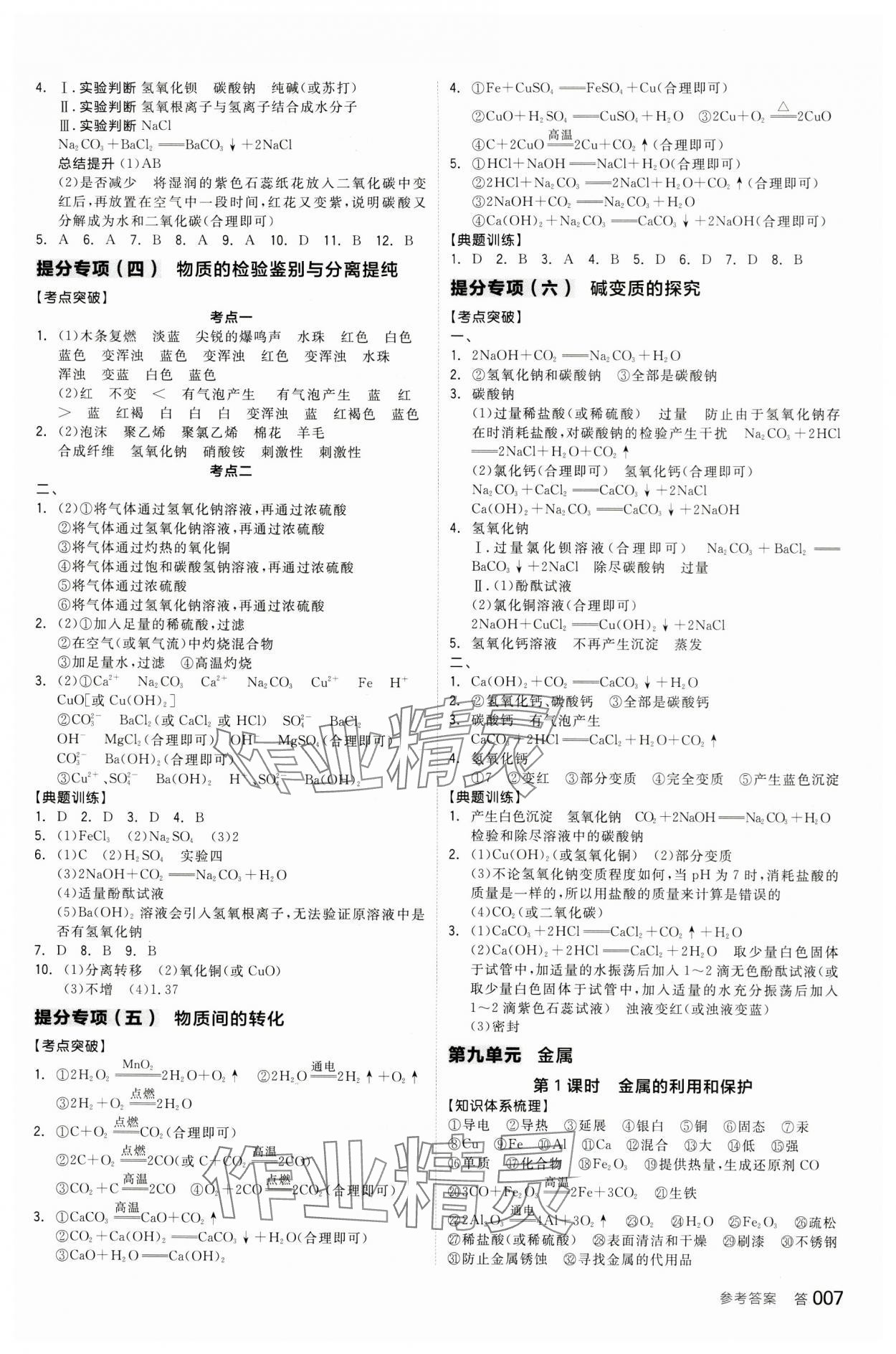 2024年全品中考复习方案化学鲁教版 参考答案第6页