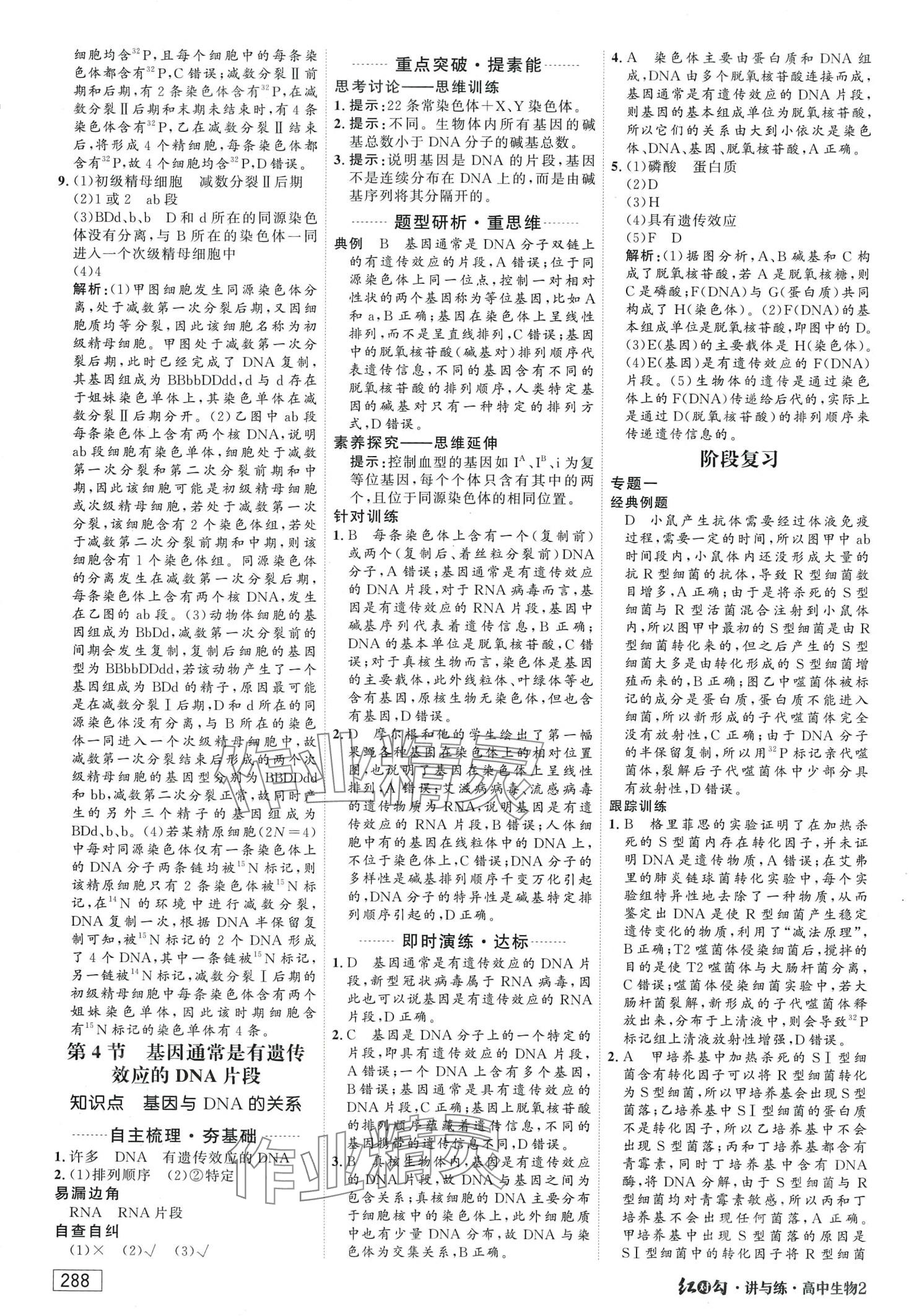 2024年红对勾讲与练高中生物必修2人教版 第18页