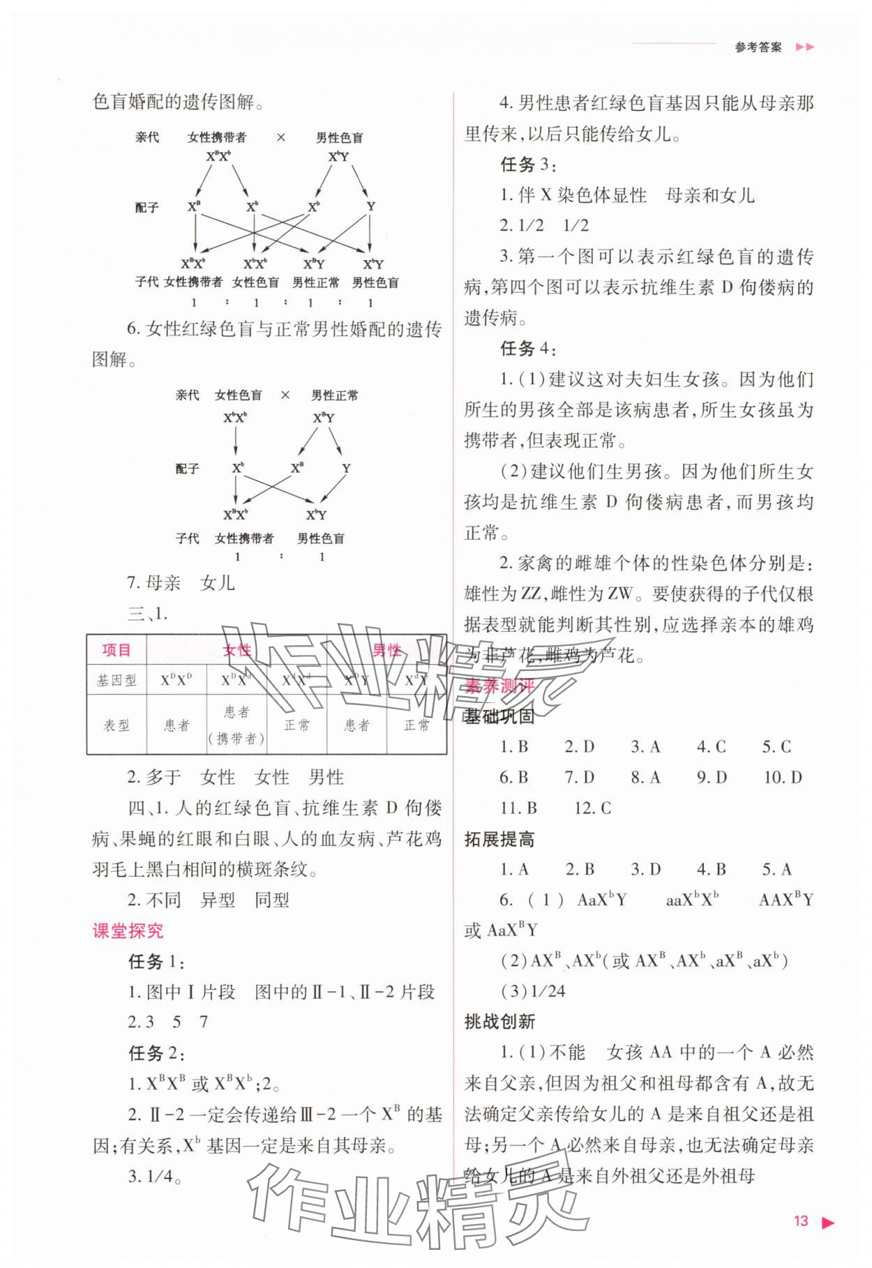 2025年普通高中同步練習(xí)冊(cè)高中生物必修2人教版 參考答案第13頁