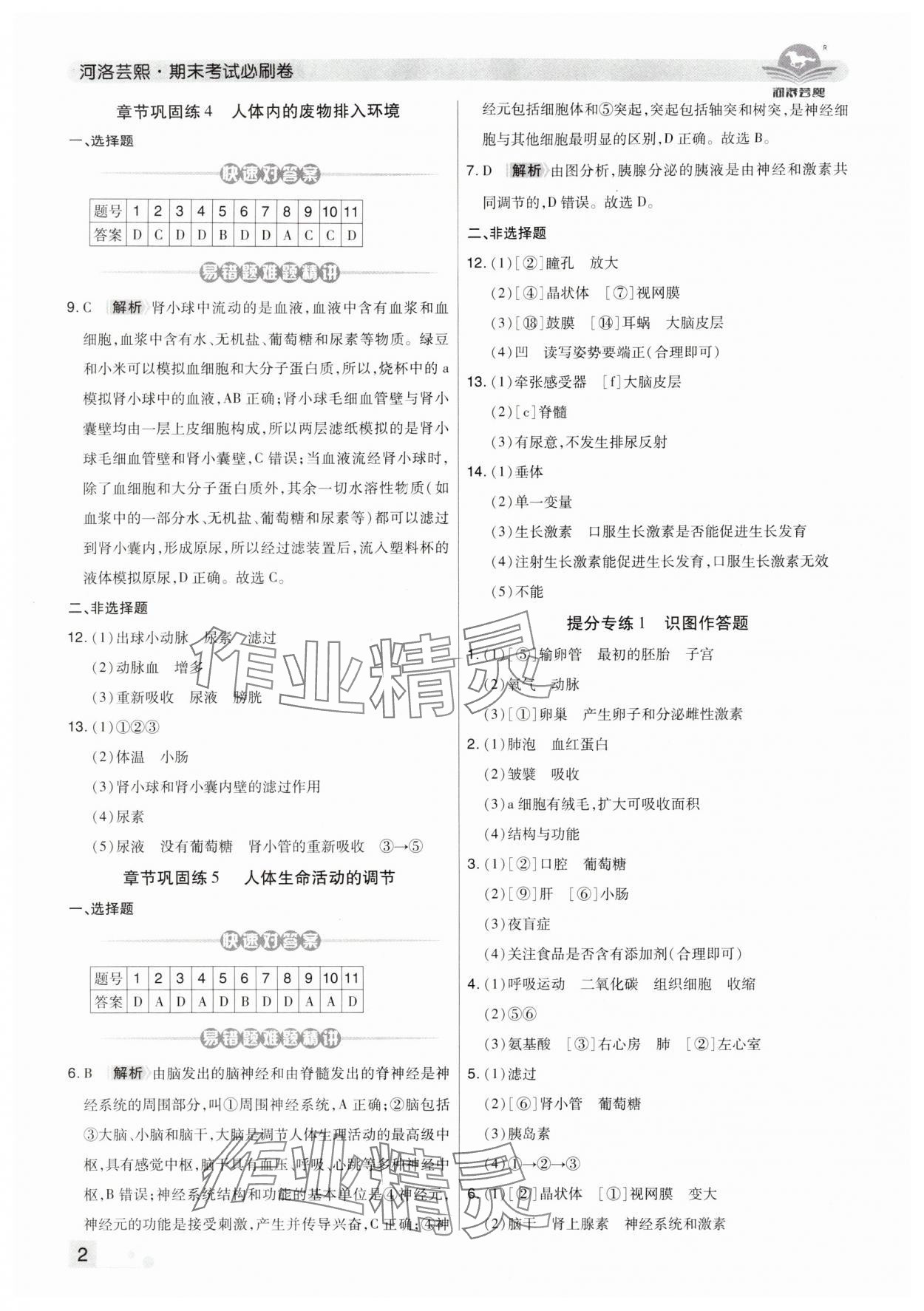 2024年期末考试必刷卷七年级生物下册苏科版洛阳专版 第2页