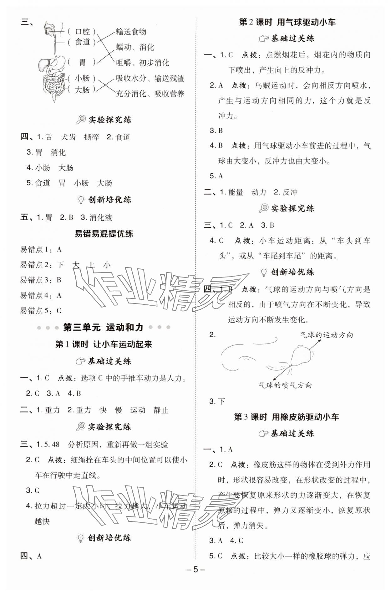 2024年綜合應(yīng)用創(chuàng)新題典中點四年級科學(xué)上冊教科版 參考答案第5頁