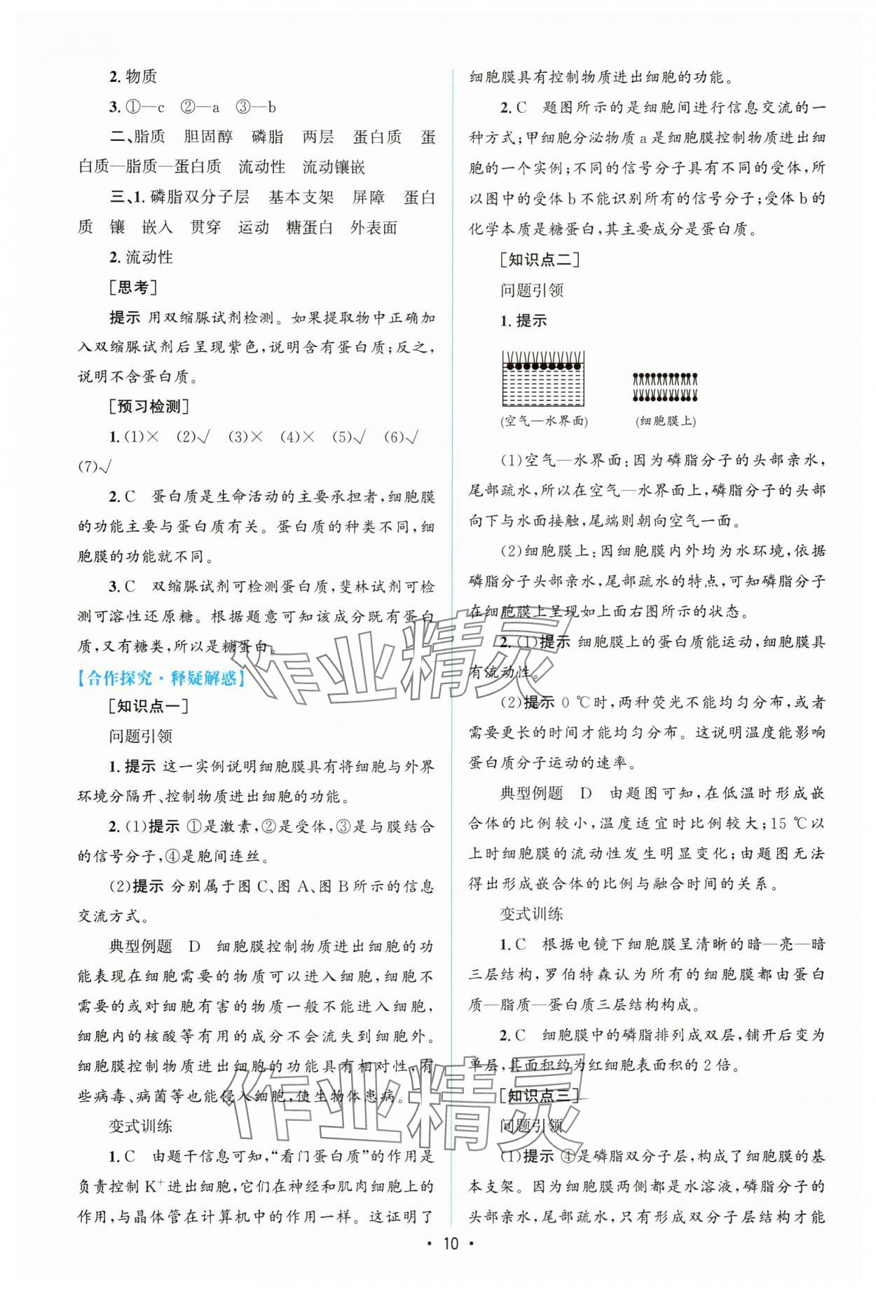 2025年高中同步測(cè)控優(yōu)化設(shè)計(jì)（分子與細(xì)胞）高中生物必修1人教版增強(qiáng)版 參考答案第9頁(yè)