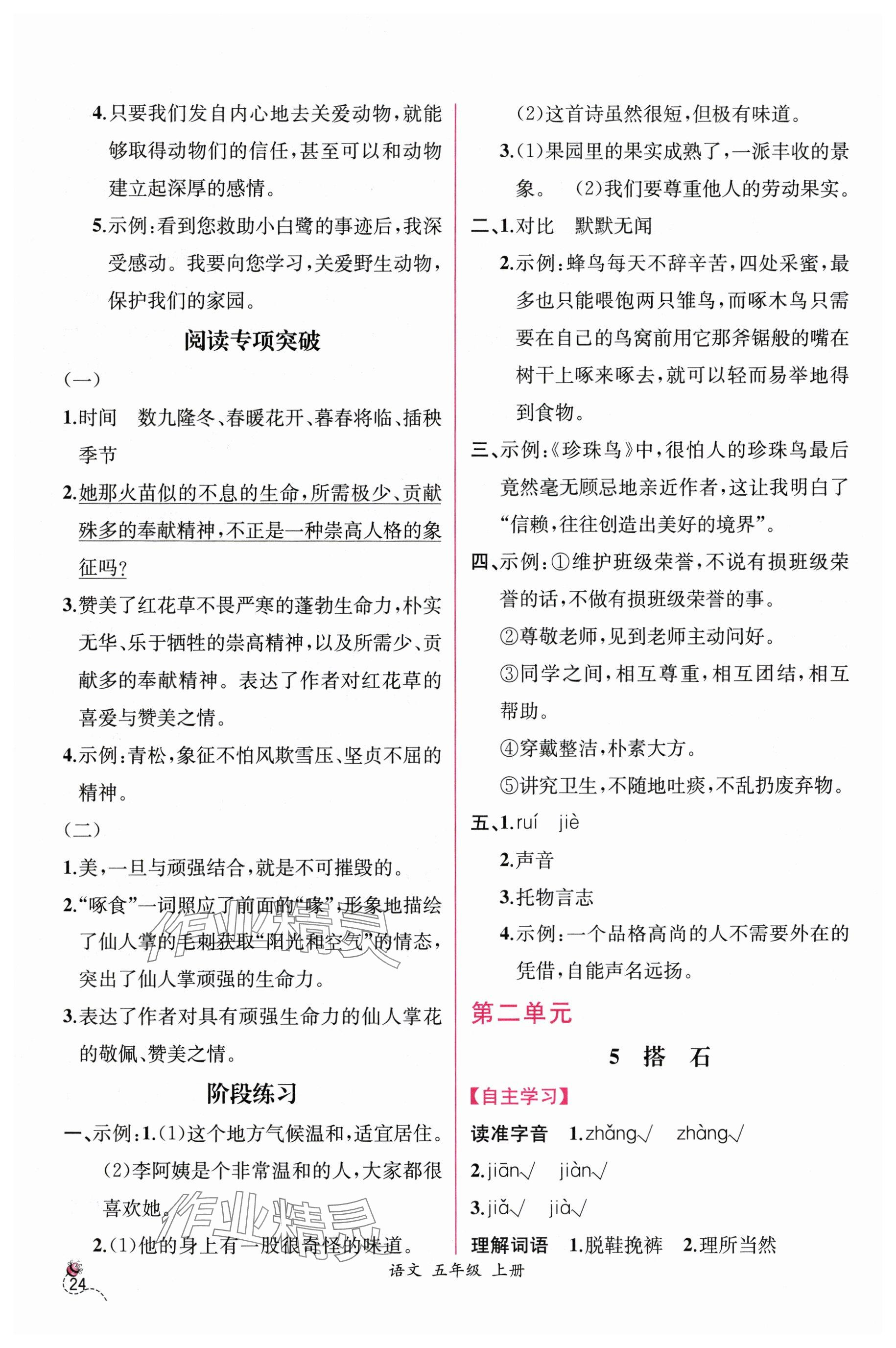 2025年課時練人民教育出版社五年級語文上冊人教版 參考答案第4頁