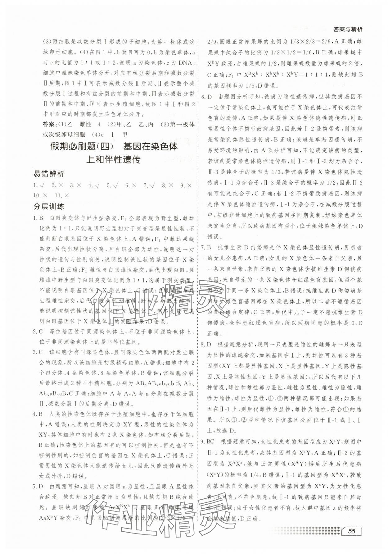 2025年暑假刷題計劃高一生物學(xué)人教版 第5頁