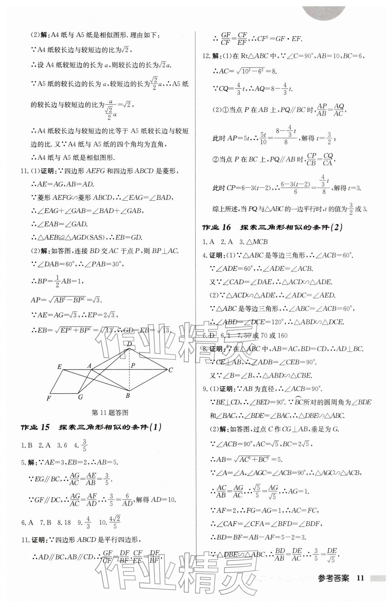 2026年启东中学作业本九年级数学下册苏科版盐城专版&nbsp;第11页