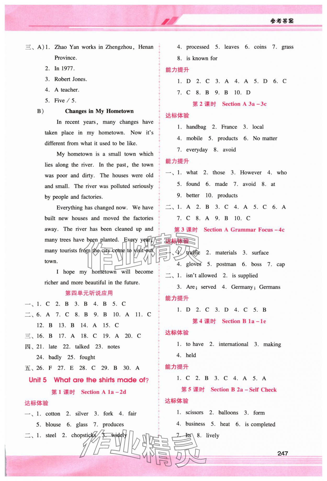 2024年新課程學(xué)習(xí)輔導(dǎo)九年級英語全一冊人教版 第5頁