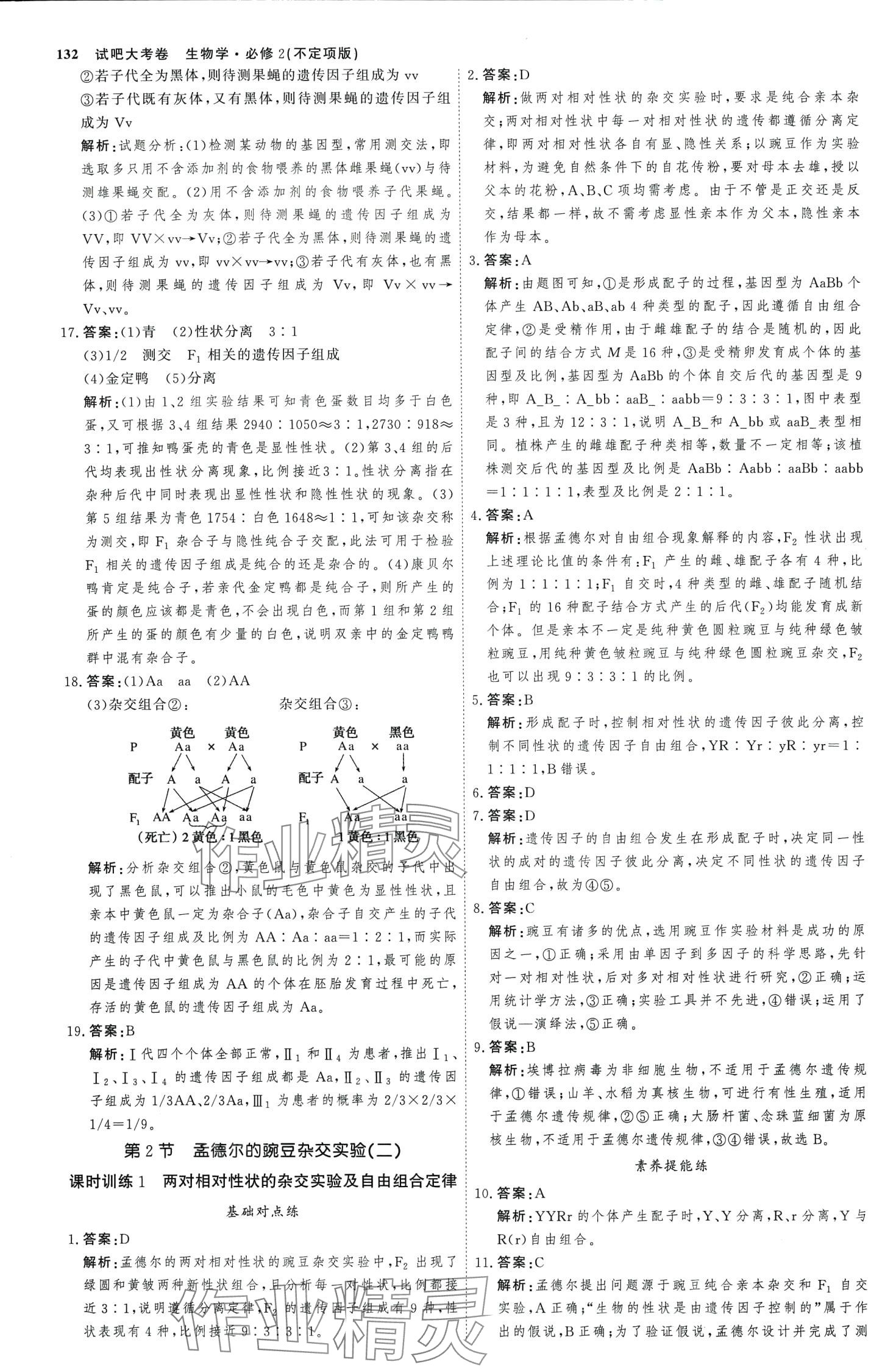 2024年试吧大考卷45分钟课时作业与单元测试卷高中生物必修2 第3页