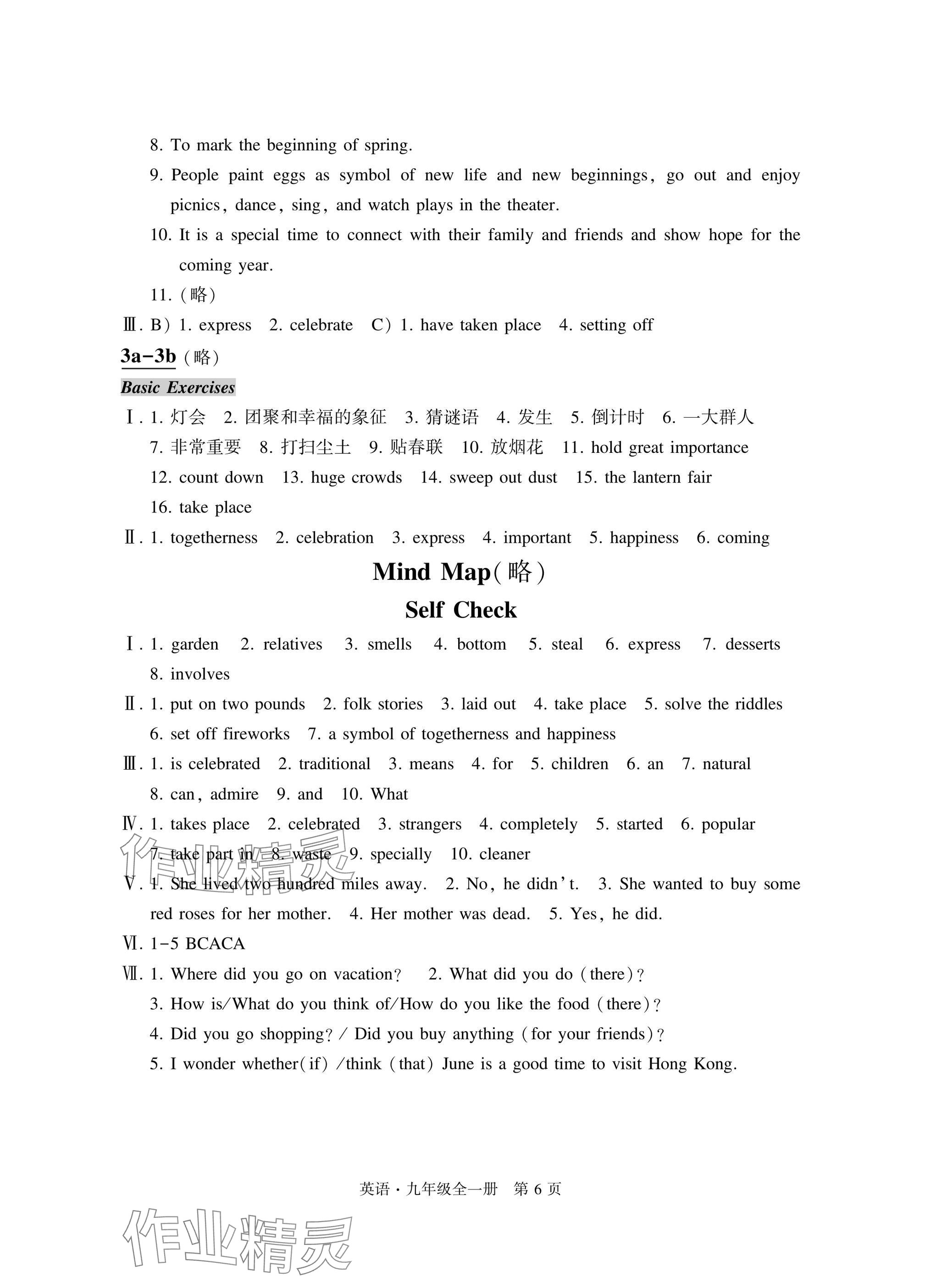 2025年自主学习指导课程与测试九年级英语全一册人教版&nbsp;参考答案第6页