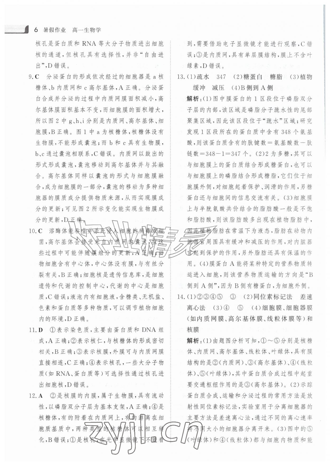 2026年金版新学案暑假作业高一生物&nbsp;参考答案第5页