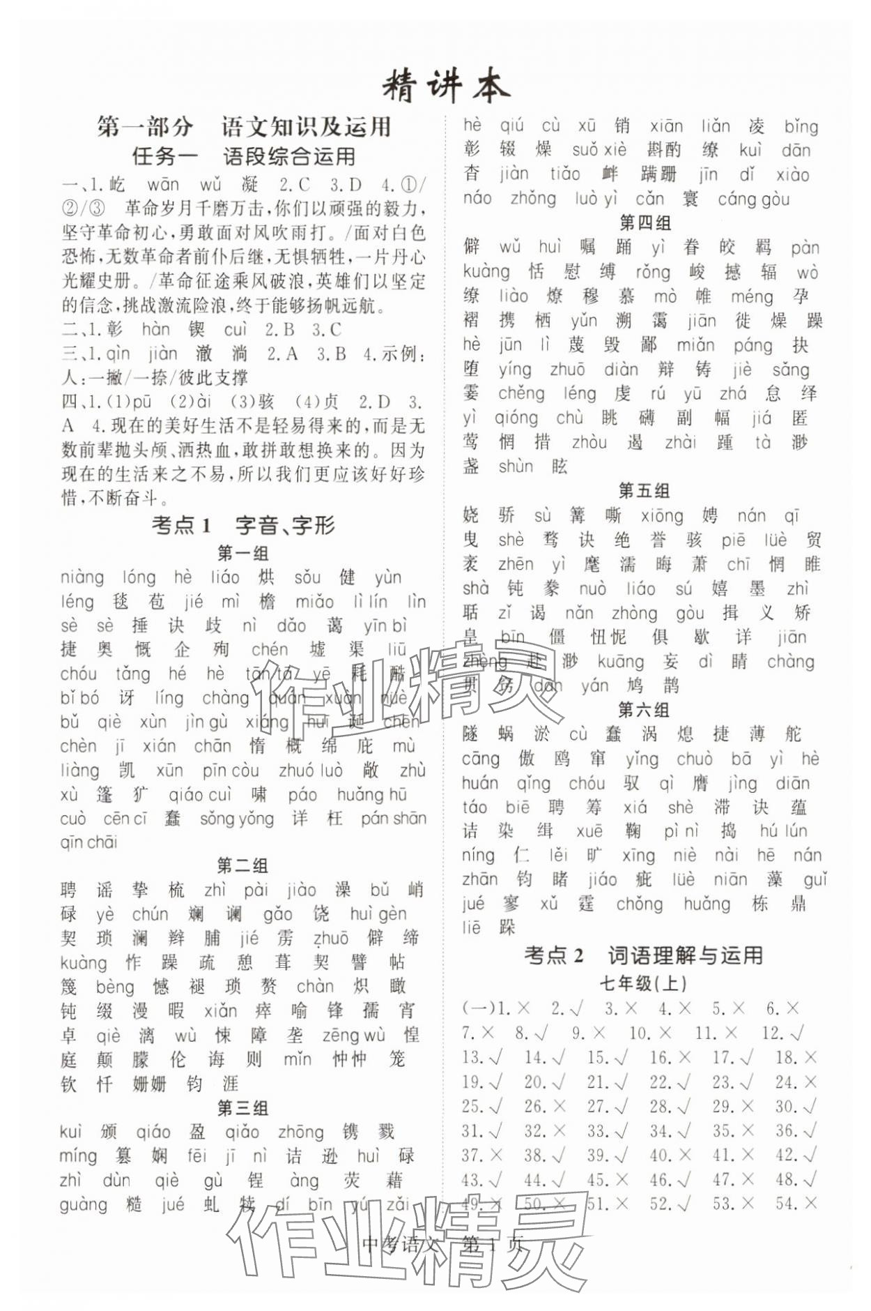 2025年啟航新課堂九年級(jí)語文下冊(cè)人教版 參考答案第1頁