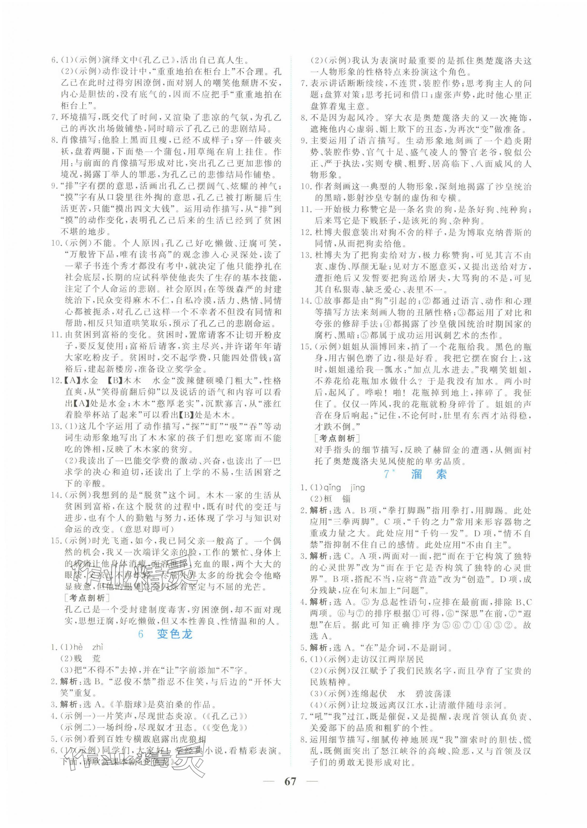 2025年新坐标同步练习九年级语文下册人教版青海专用 第3页
