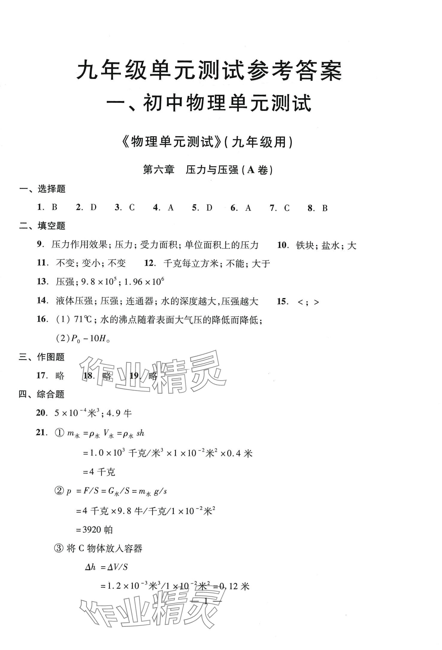 2024年双基过关堂堂练九年级物理全一册沪教版 第7页