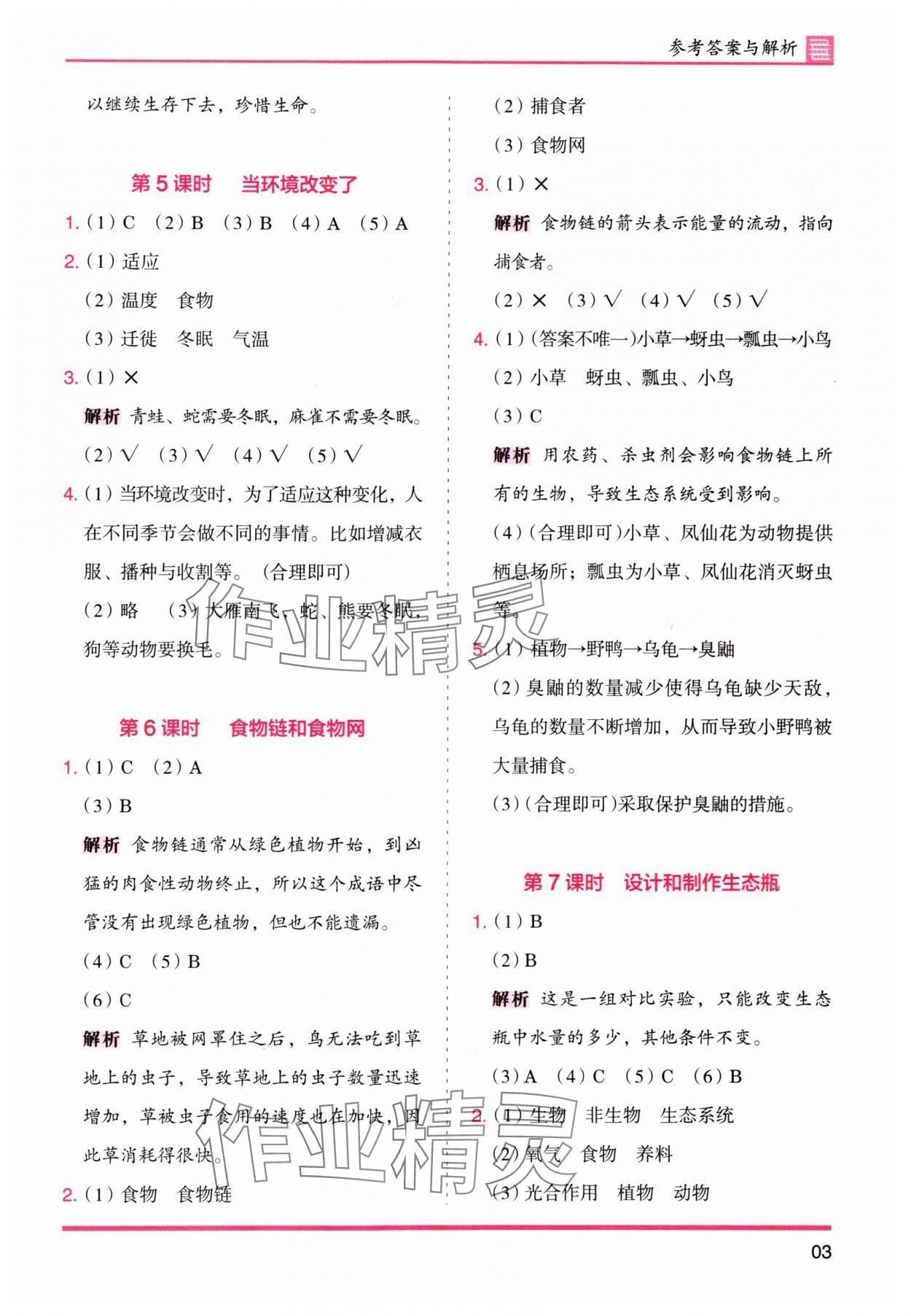 2024年木頭馬分層課課練五年級科學(xué)下冊教科版 參考答案第3頁