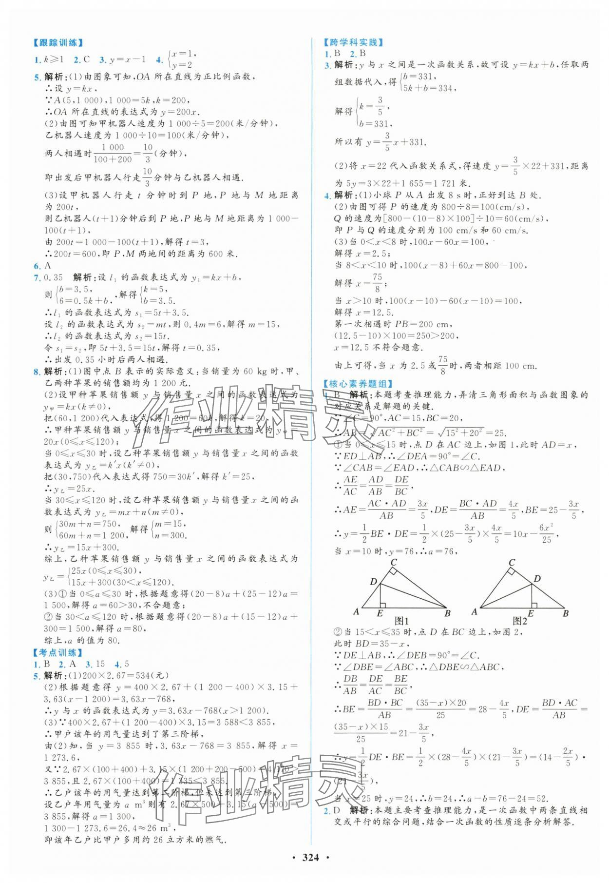 2024年初中總復(fù)習(xí)山東文藝出版社數(shù)學(xué)淄博專版 第8頁