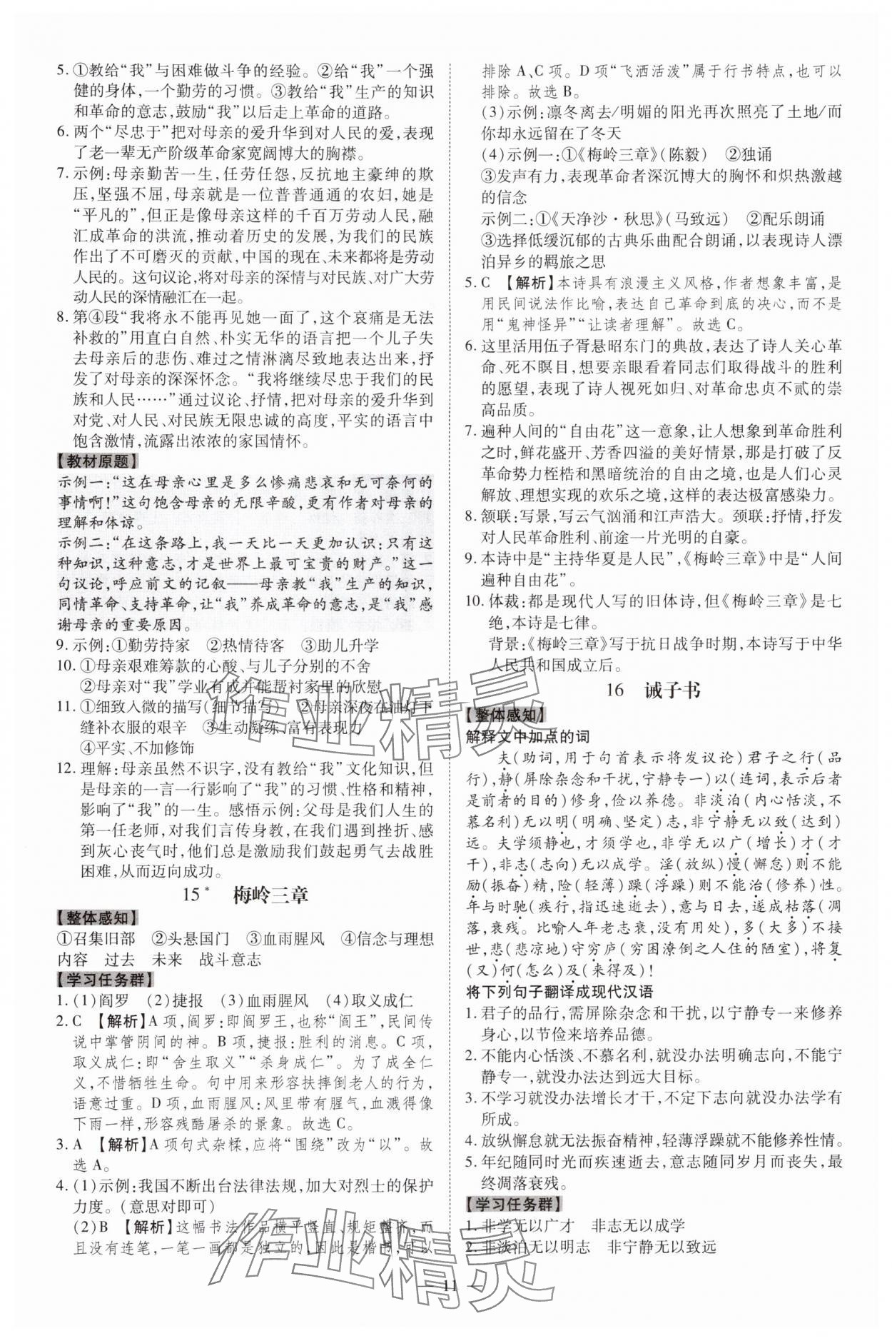 2024年同步?jīng)_刺七年級語文上冊人教版 參考答案第11頁