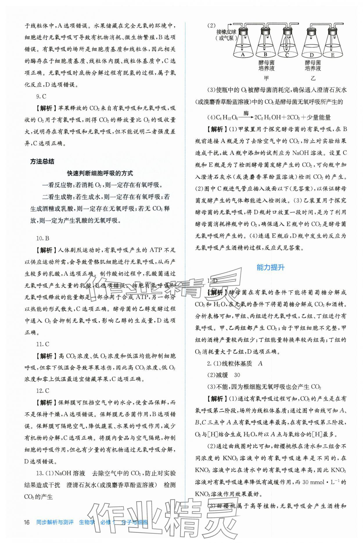 2025年人教金学典同步练习册同步解析与测评高中生物必修第一册人教版 第16页