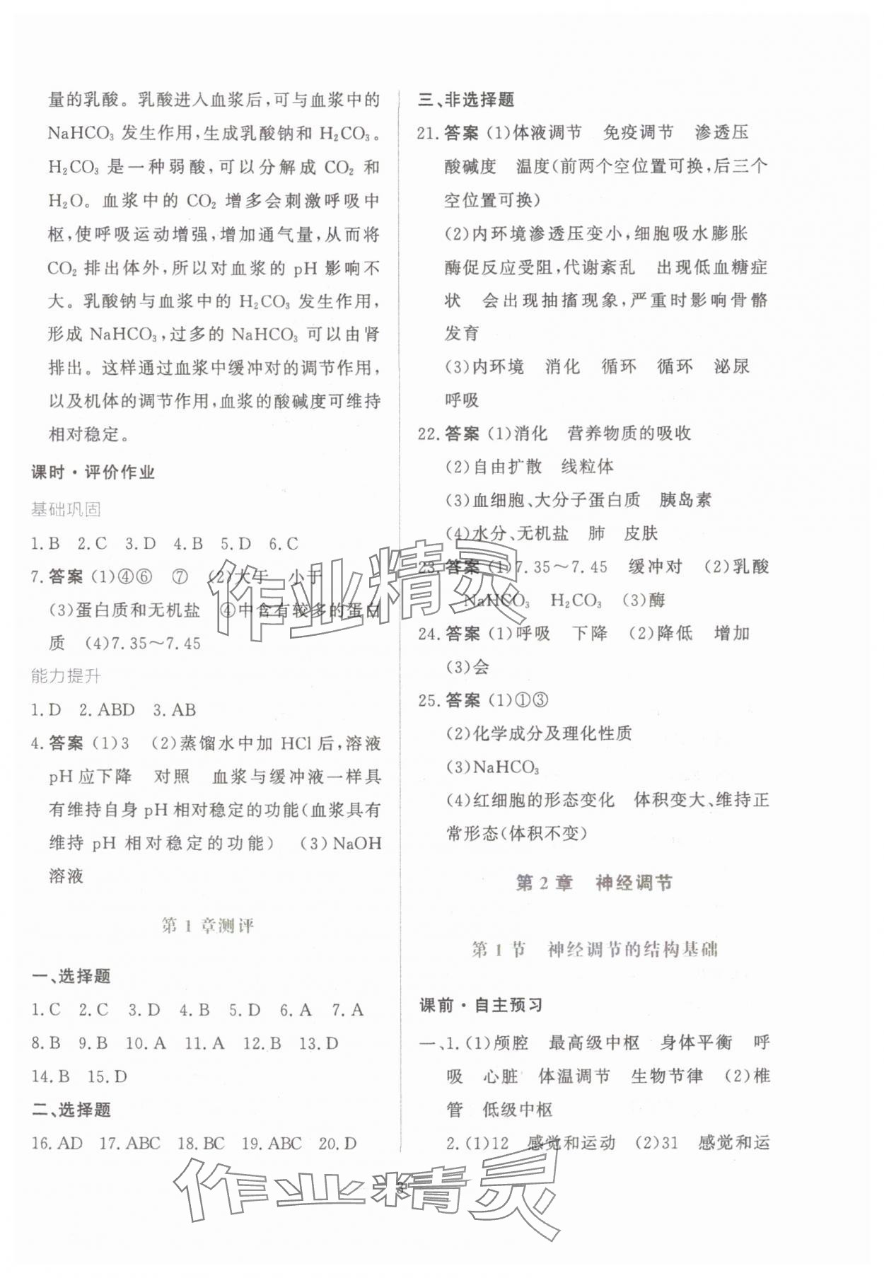 2024年同步學考練高中生物選擇性必修1人教版 第3頁