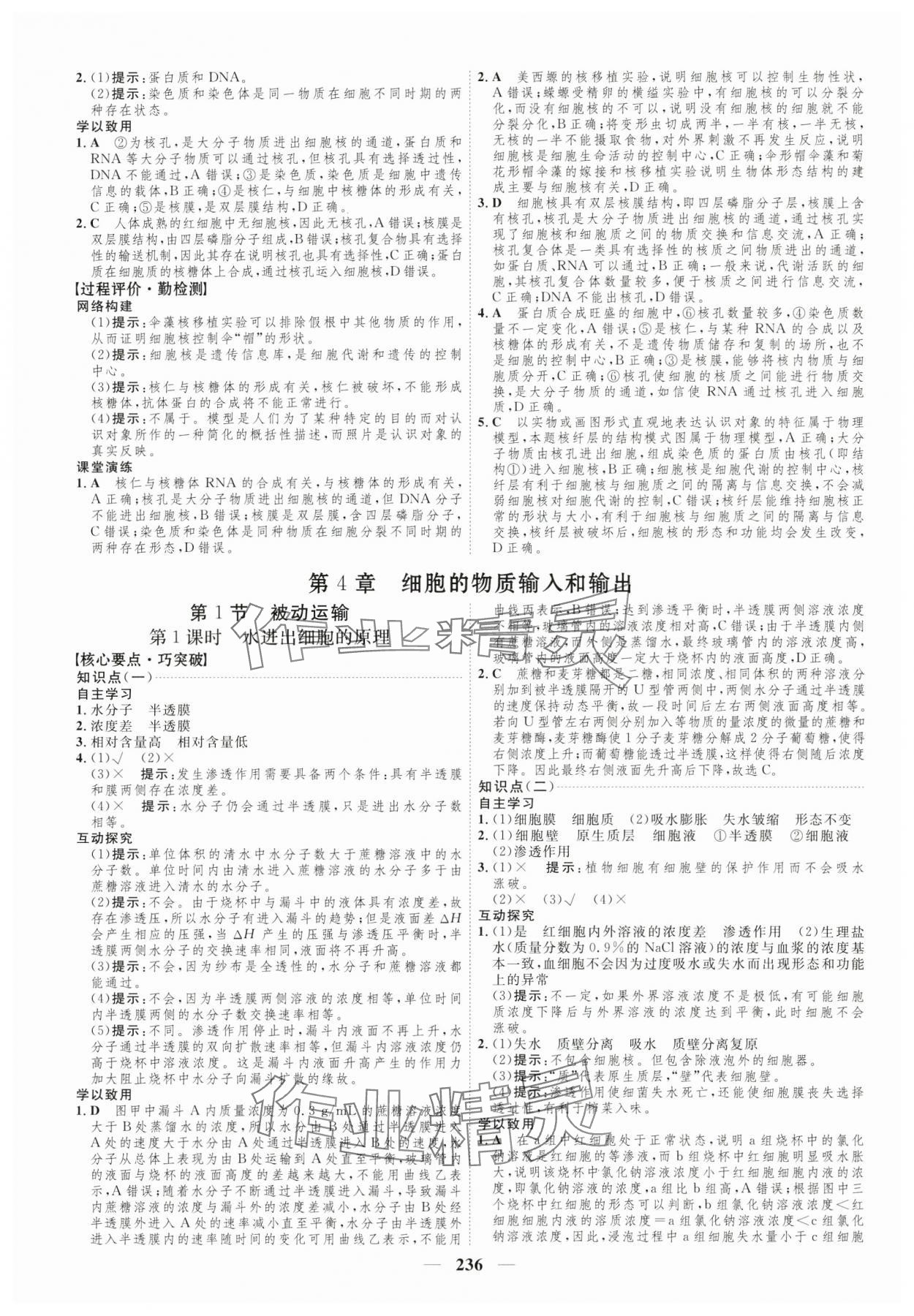 2024年三維設(shè)計(jì)高中生物必修1人教版 參考答案第12頁