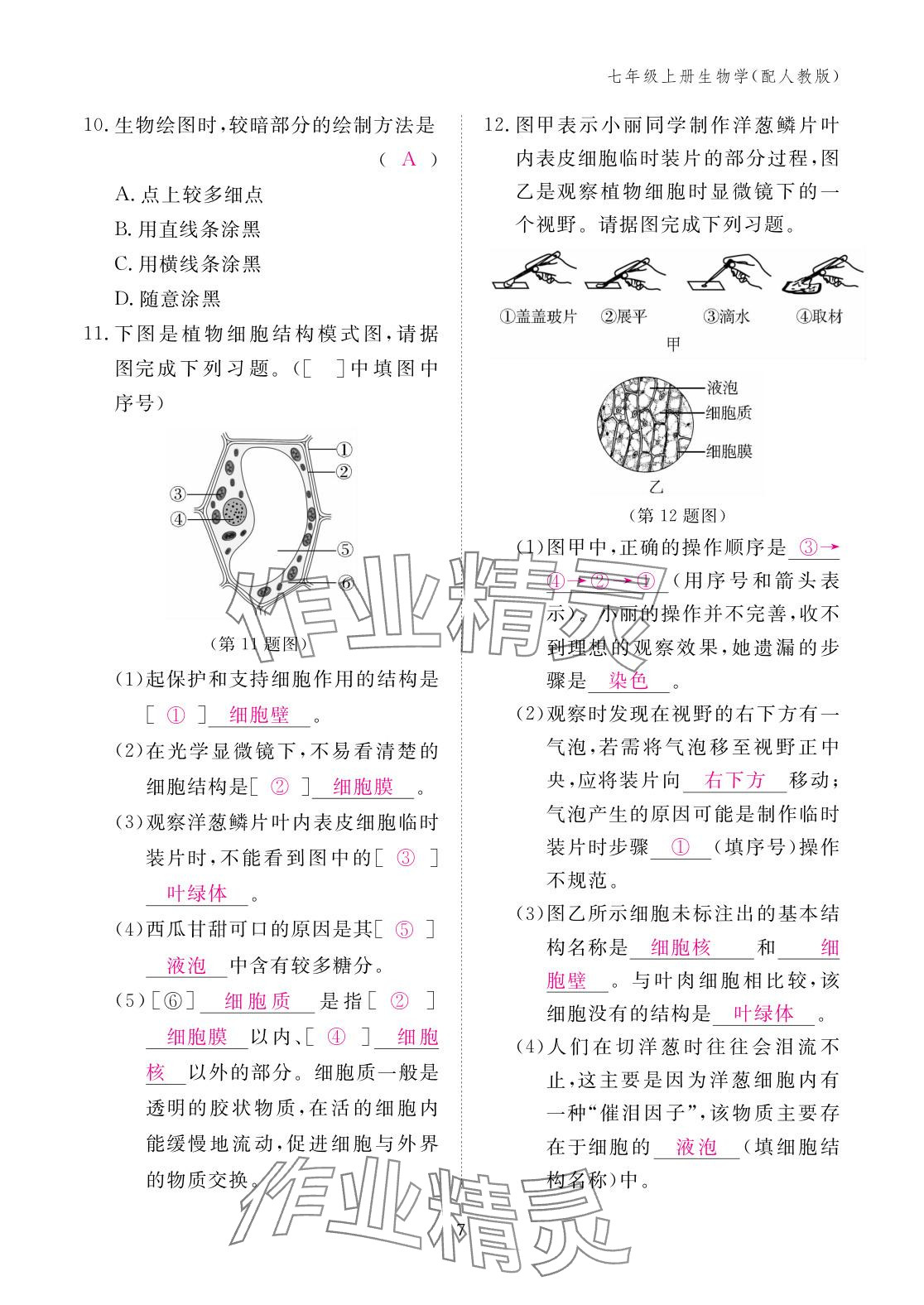 2025年作业本江西教育出版社七年级生物上册人教版 参考答案第7页
