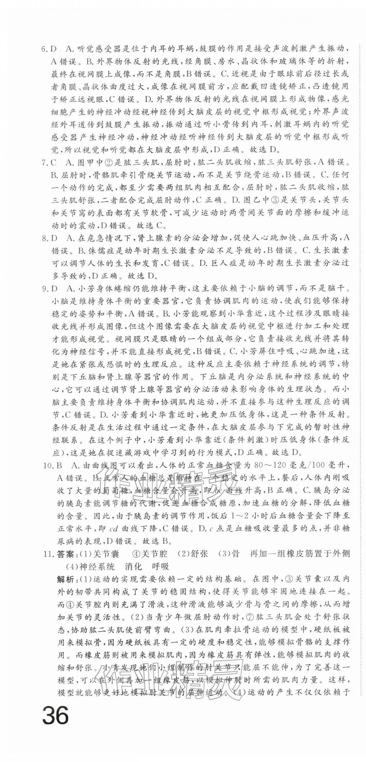 2025年核心素养学练评八年级生物上册人教版 第4页