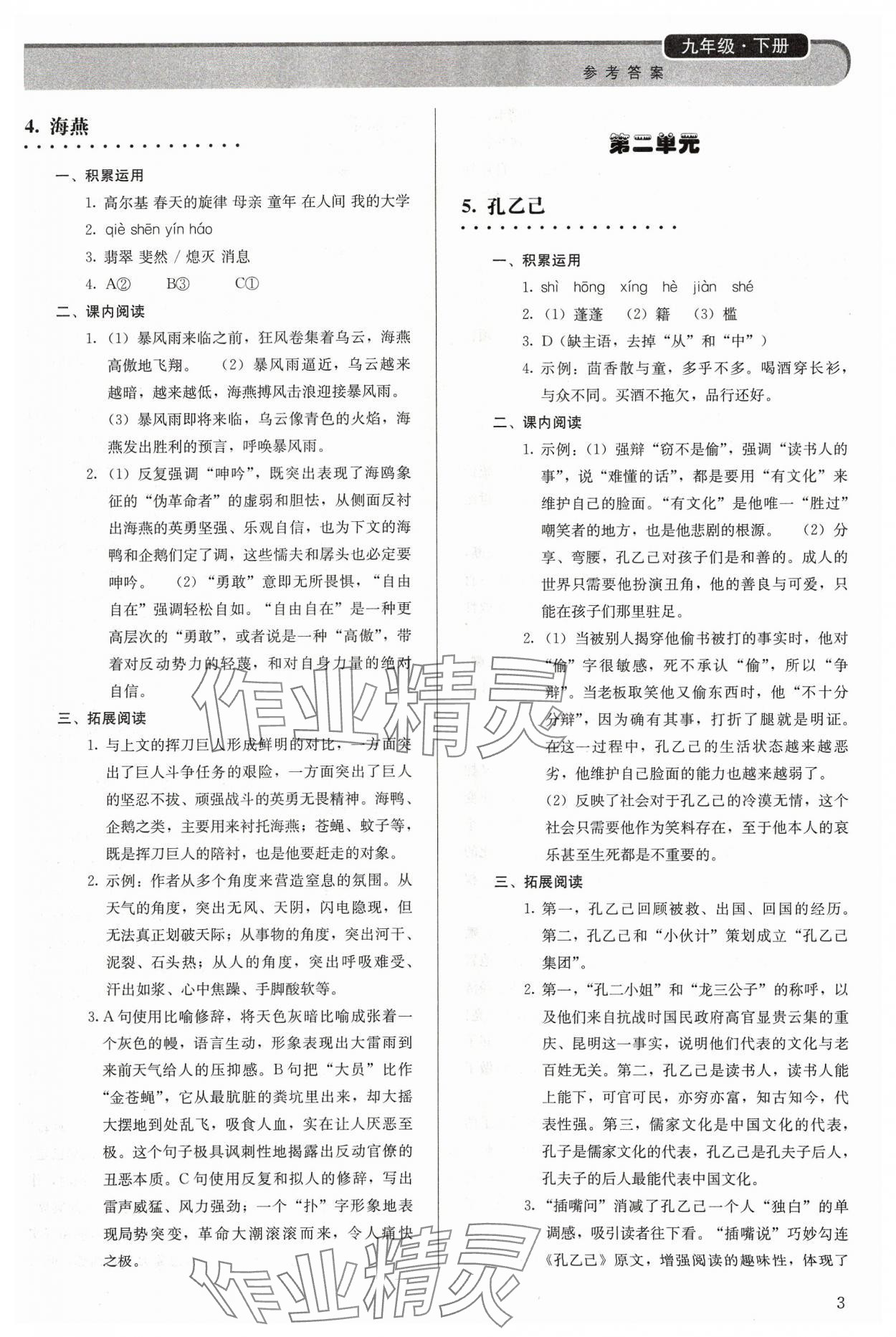 2024年补充习题九年级语文下册人教版人民教育出版社 第3页